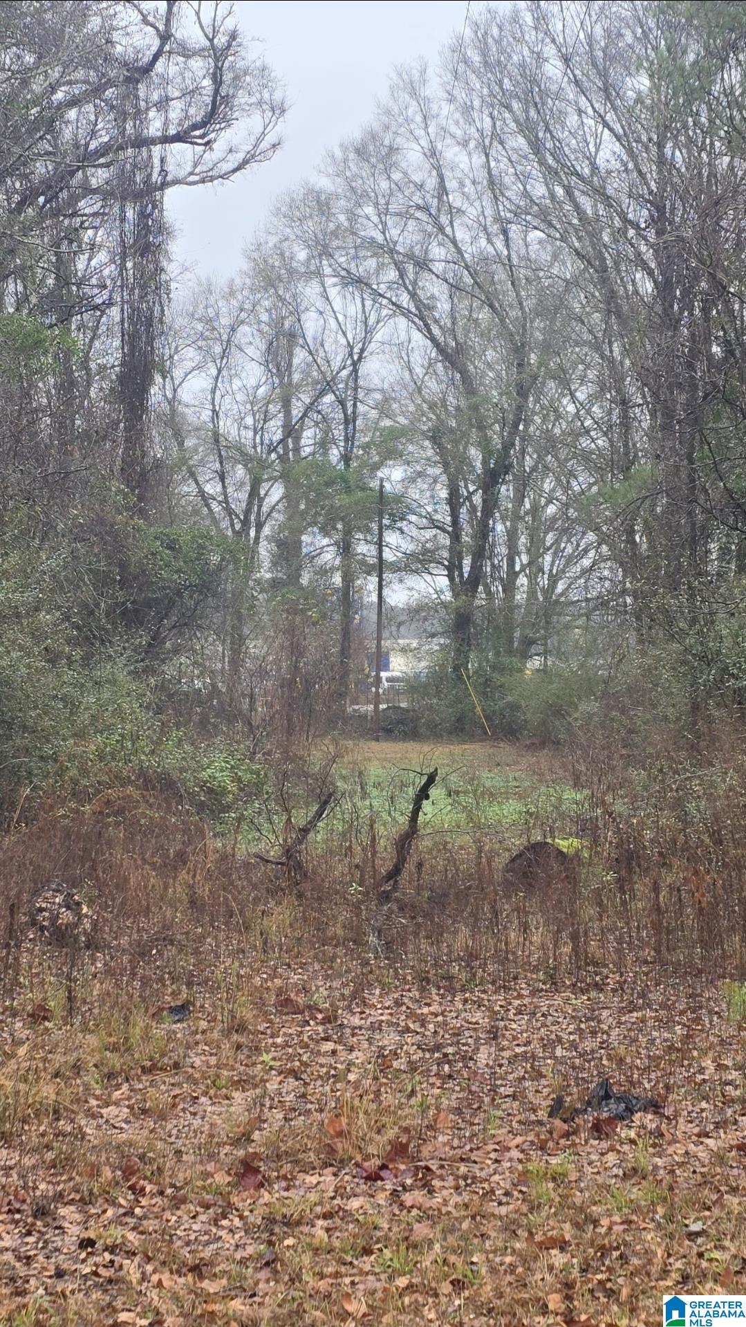 Homes for sale in Harpersville, AL | 511 Lakeview Circle, Harpersville, AL 35078 | MLS# 21440555