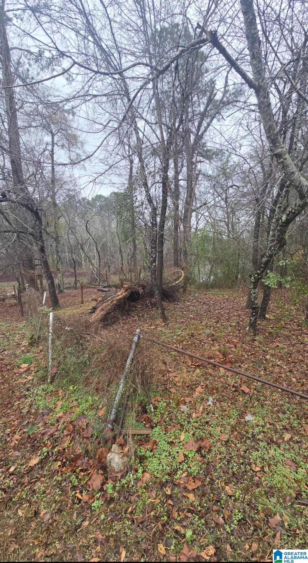 Homes for sale in Harpersville, AL | 511 Lakeview Circle, Harpersville, AL 35078 | MLS# 21440555