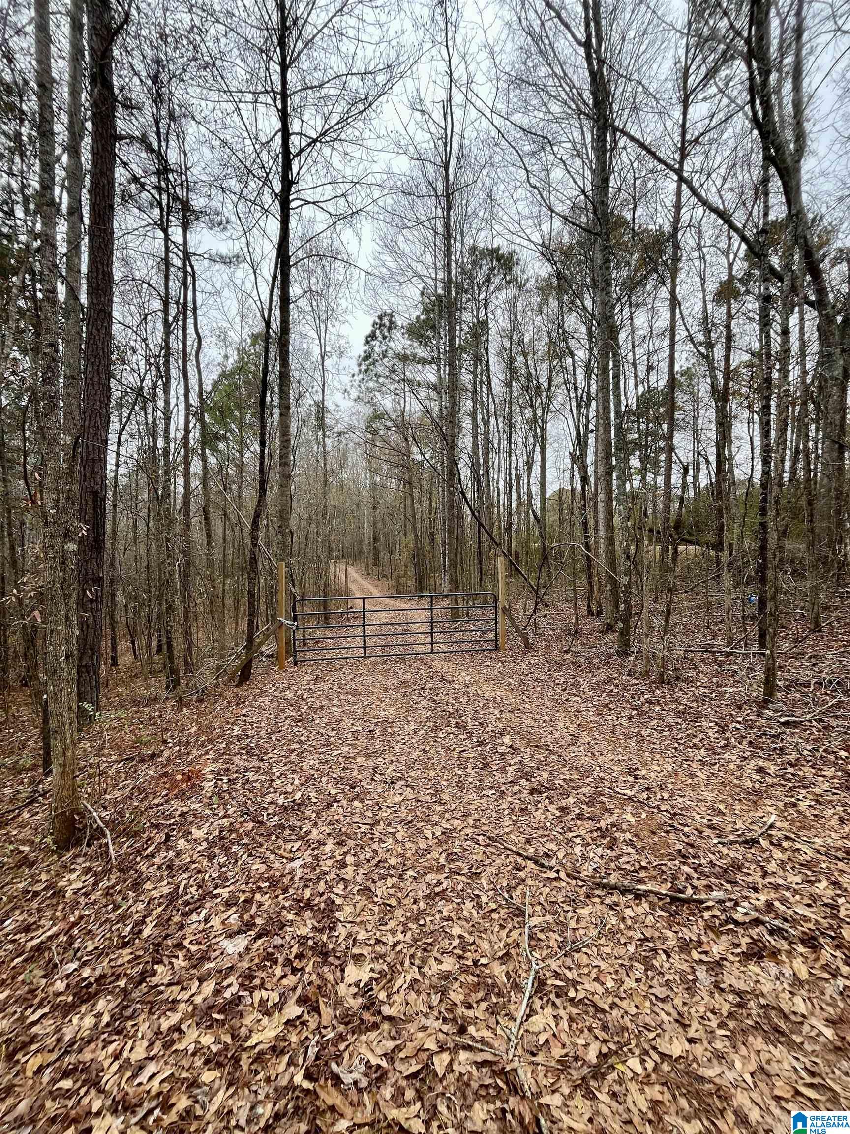 Homes for sale in Ashland, AL | 0 Jessie Ann Lane, Ashland, AL 36251 | MLS# 21440562