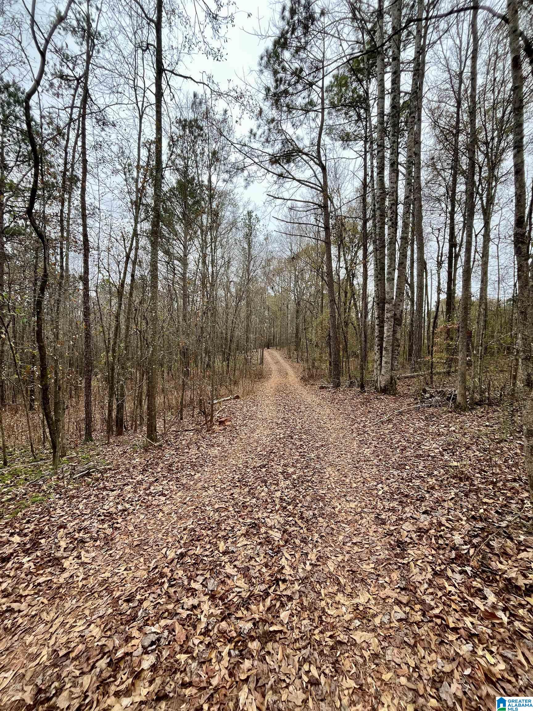 Homes for sale in Ashland, AL | 0 Jessie Ann Lane, Ashland, AL 36251 | MLS# 21440562