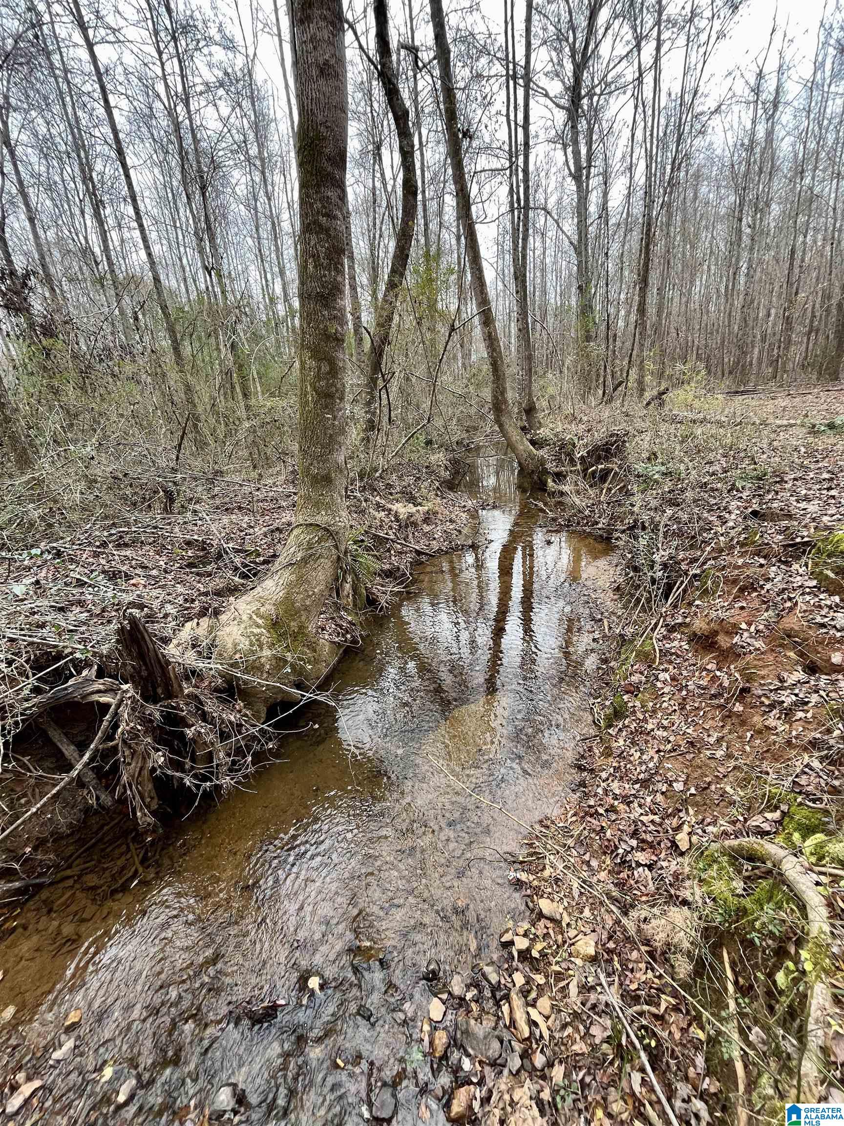 Homes for sale in Ashland, AL | 0 Jessie Ann Lane, Ashland, AL 36251 | MLS# 21440562