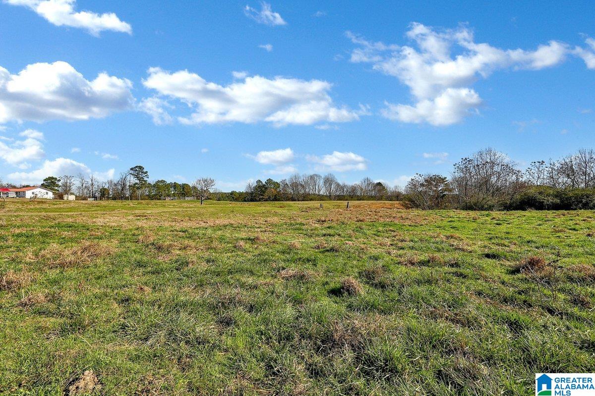 215 COUNTY ROAD 83