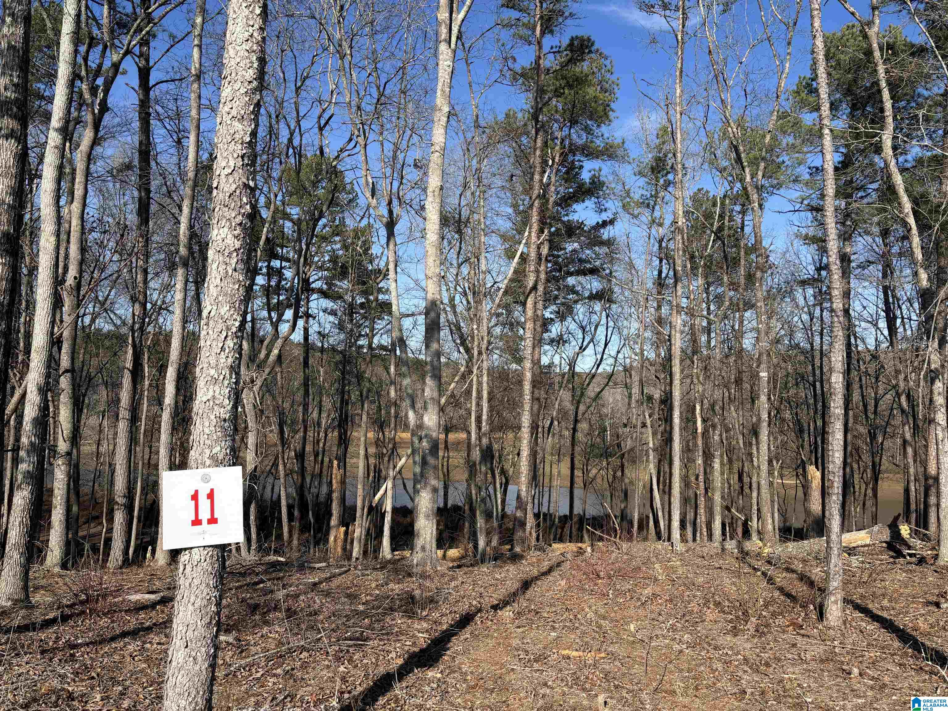 Lot 11 COUNTY ROAD 499
