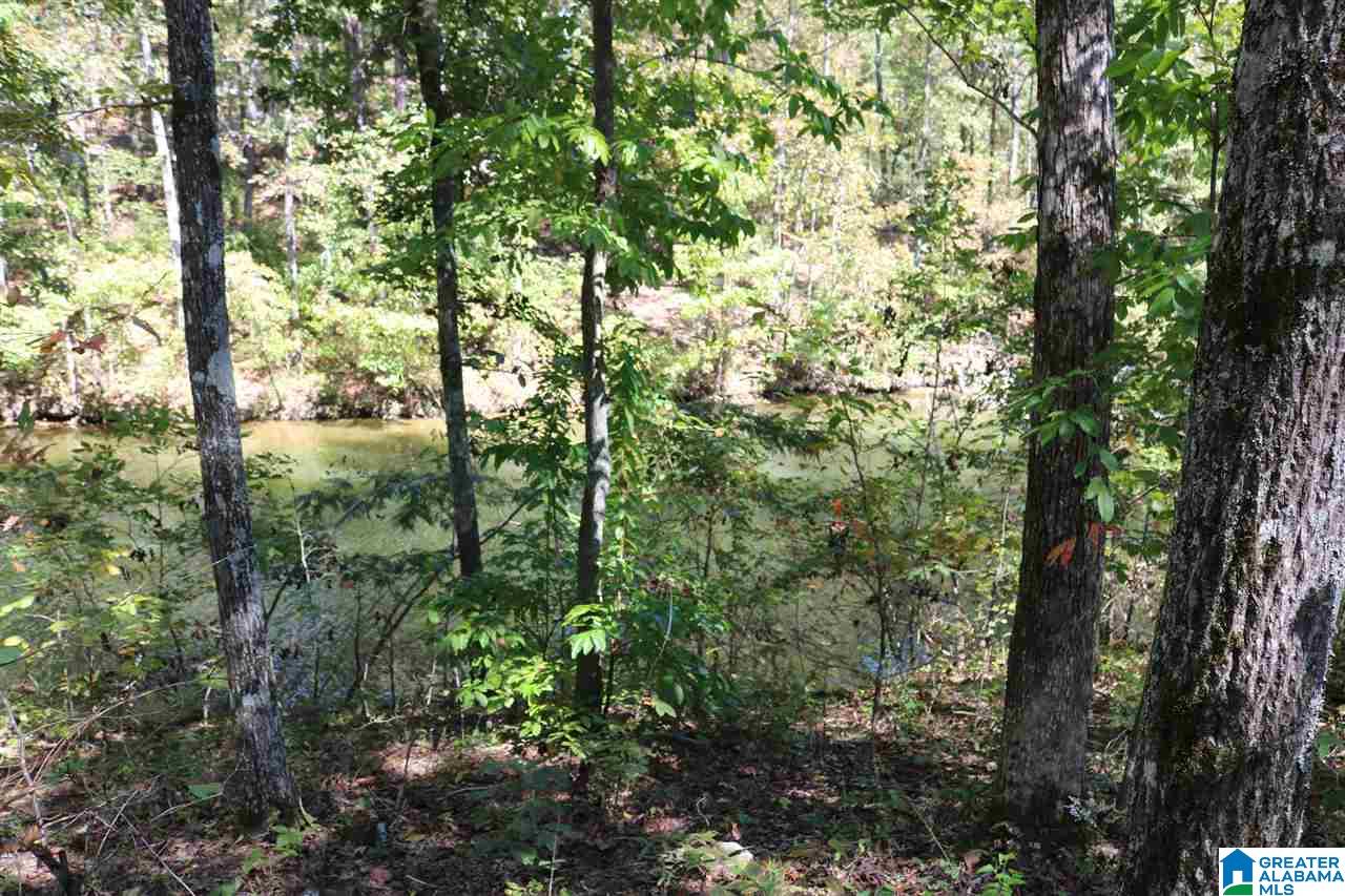 Homes for sale in Vincent, AL | 41 Fisher Way, Vincent, AL 35178 | MLS# 616866