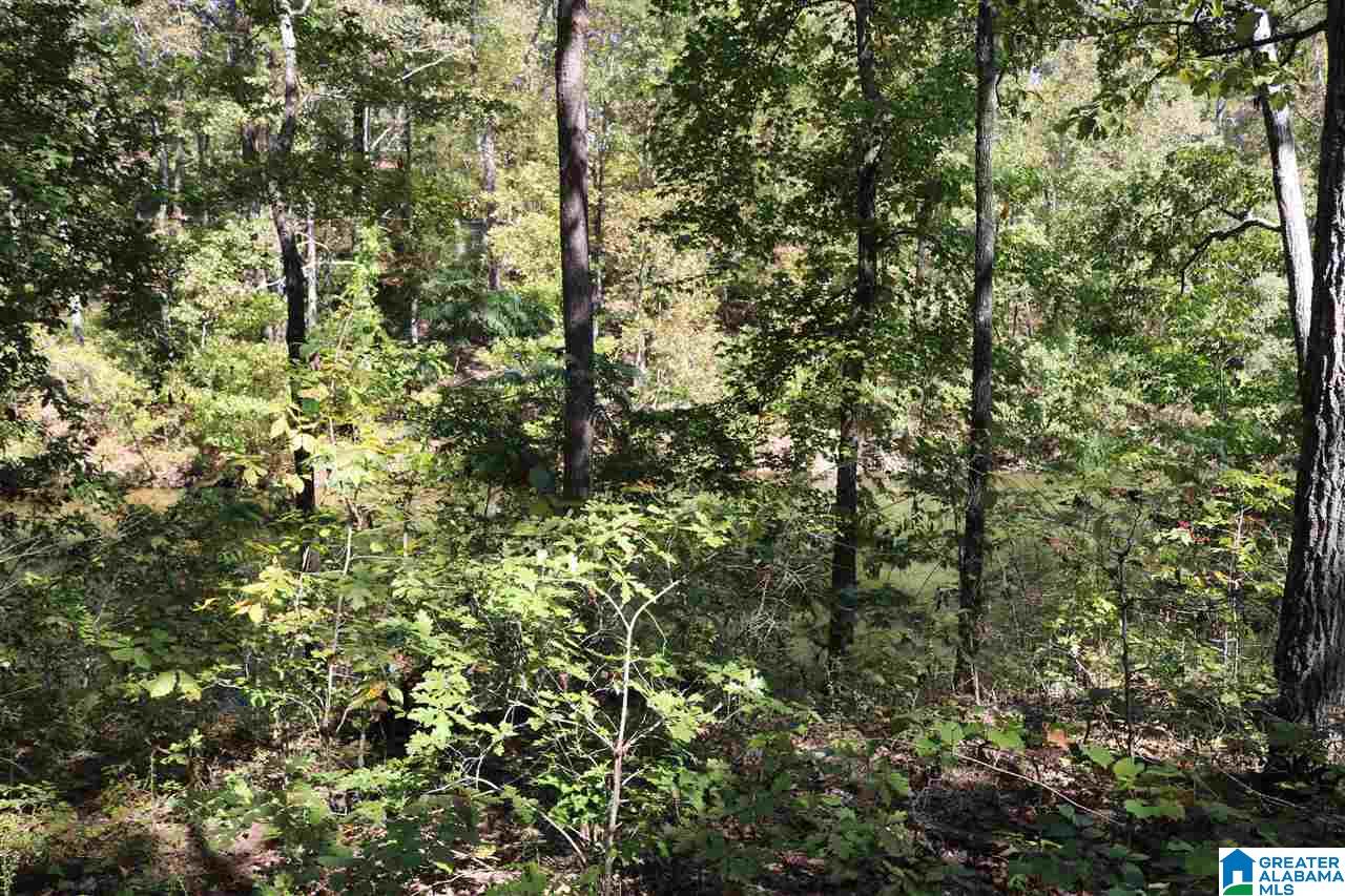 Homes for sale in Vincent, AL | 41 Fisher Way, Vincent, AL 35178 | MLS# 616866