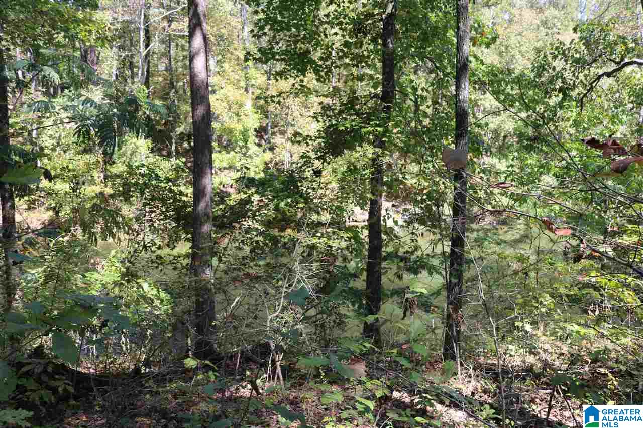 Homes for sale in Vincent, AL | 41 Fisher Way, Vincent, AL 35178 | MLS# 616866