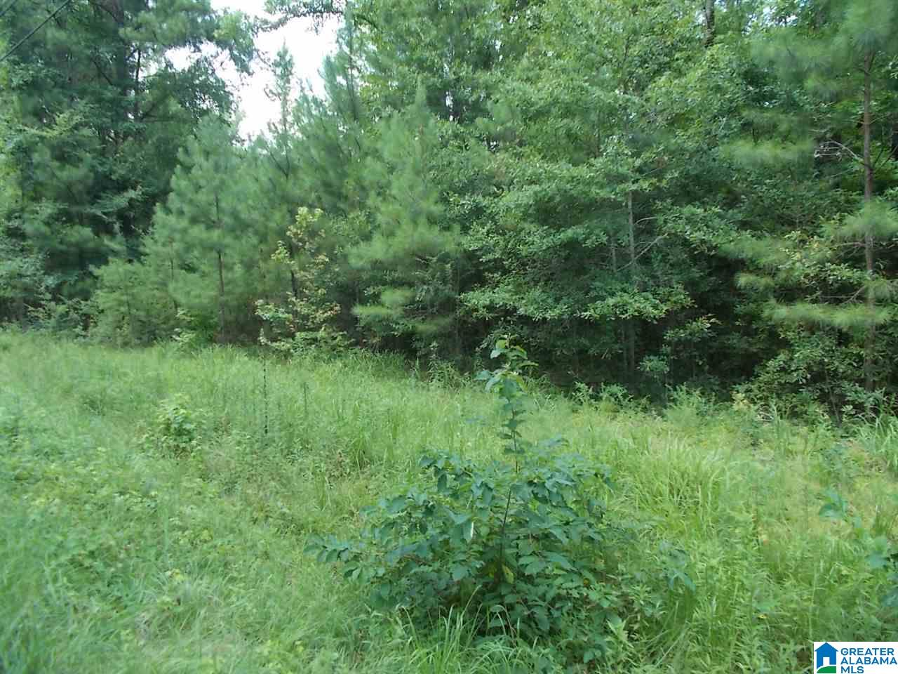 Homes for sale in Warrior, AL | Valley Trail, Warrior, AL 35180 | MLS# 790588