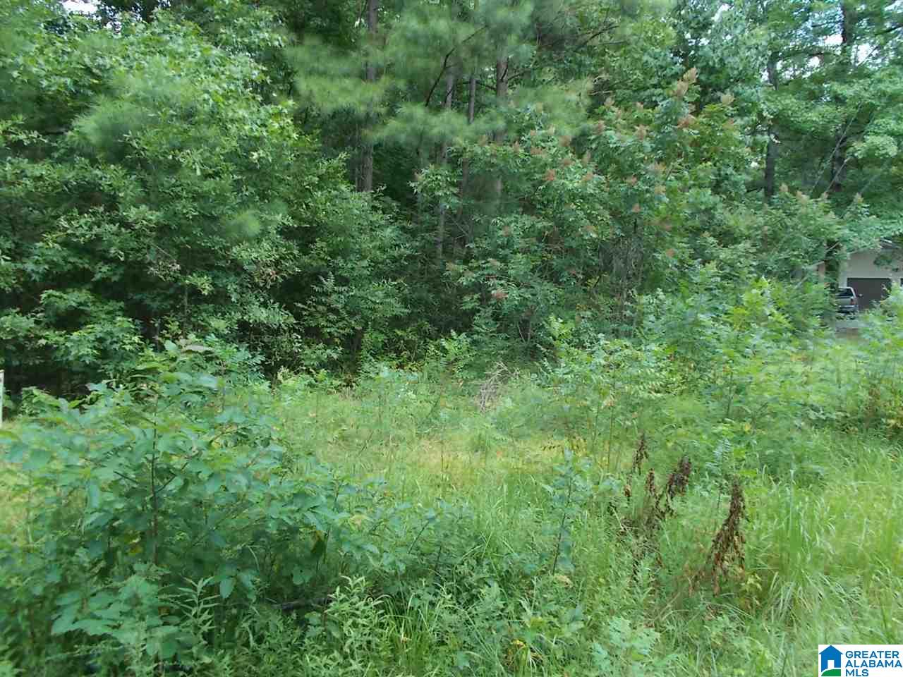 Homes for sale in Warrior, AL | Valley Trail, Warrior, AL 35180 | MLS# 790588