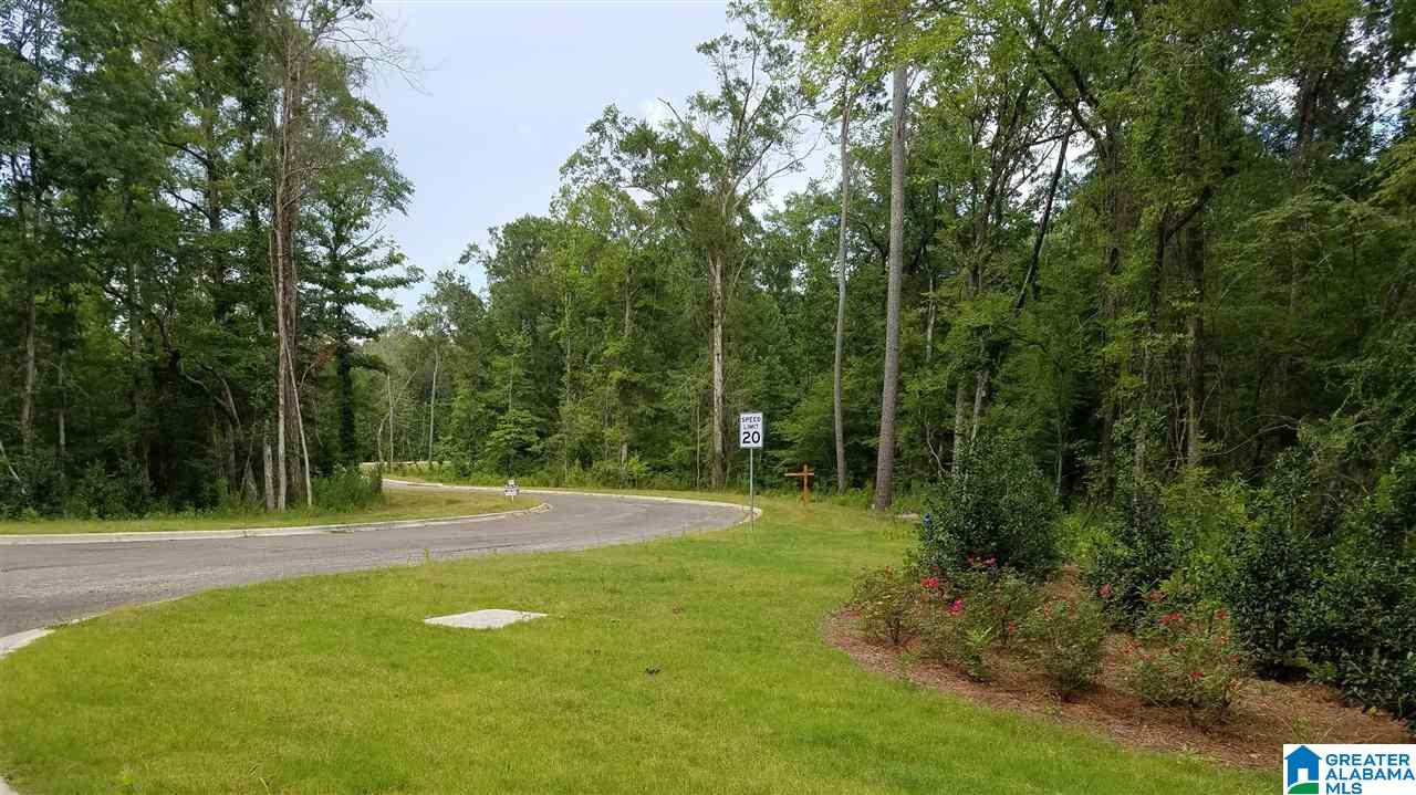 11 Chelsea Highlands Pkwy 11 Chelsea Al 35051 Realty Pros Llc