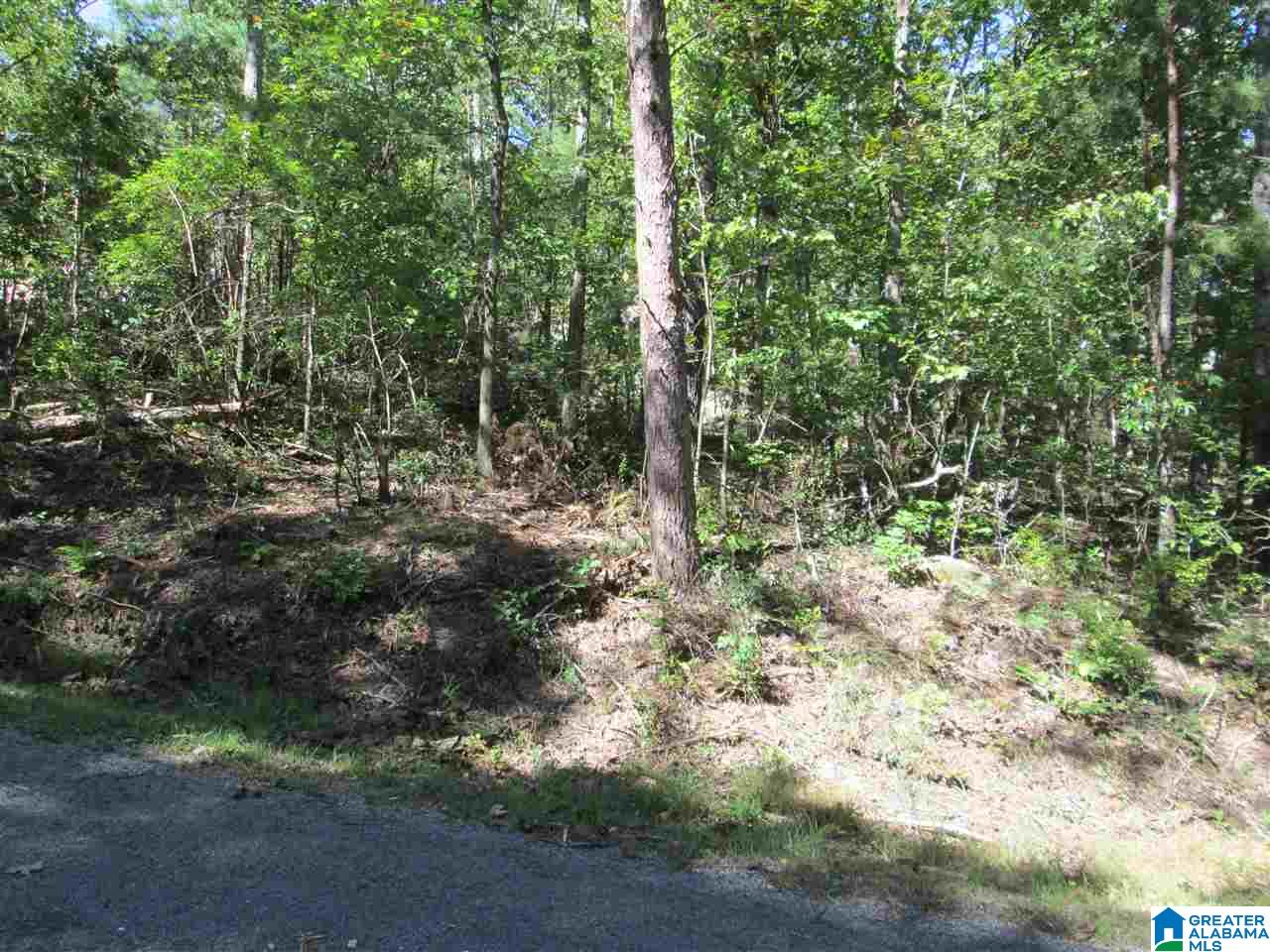 Homes for sale in Pinson, AL | Lot 161 Creekside Dr, Pinson, AL 35126 | MLS# 831407