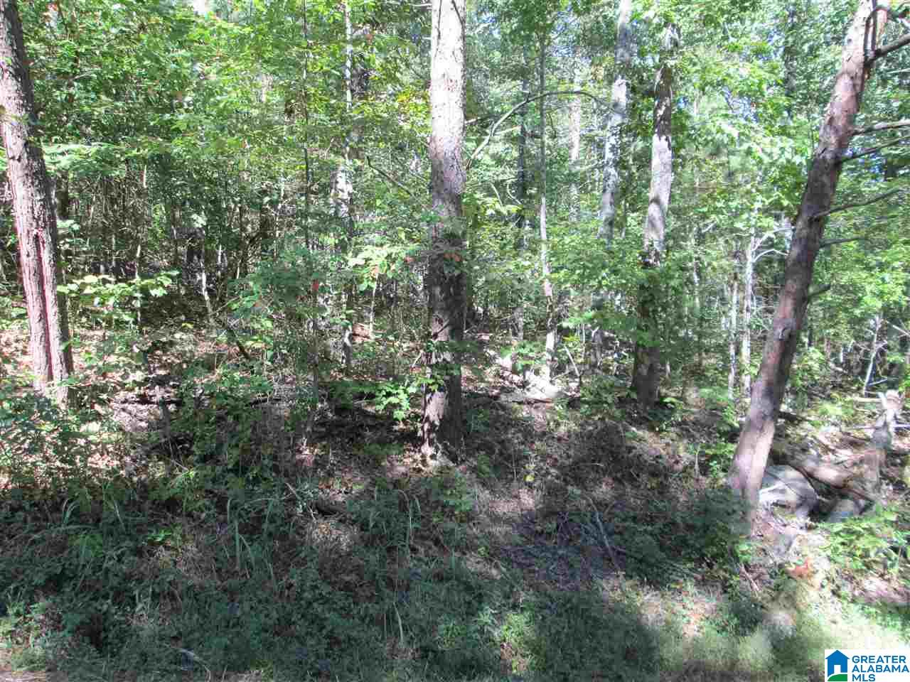 Homes for sale in Pinson, AL | Lot 161 Creekside Dr, Pinson, AL 35126 | MLS# 831407