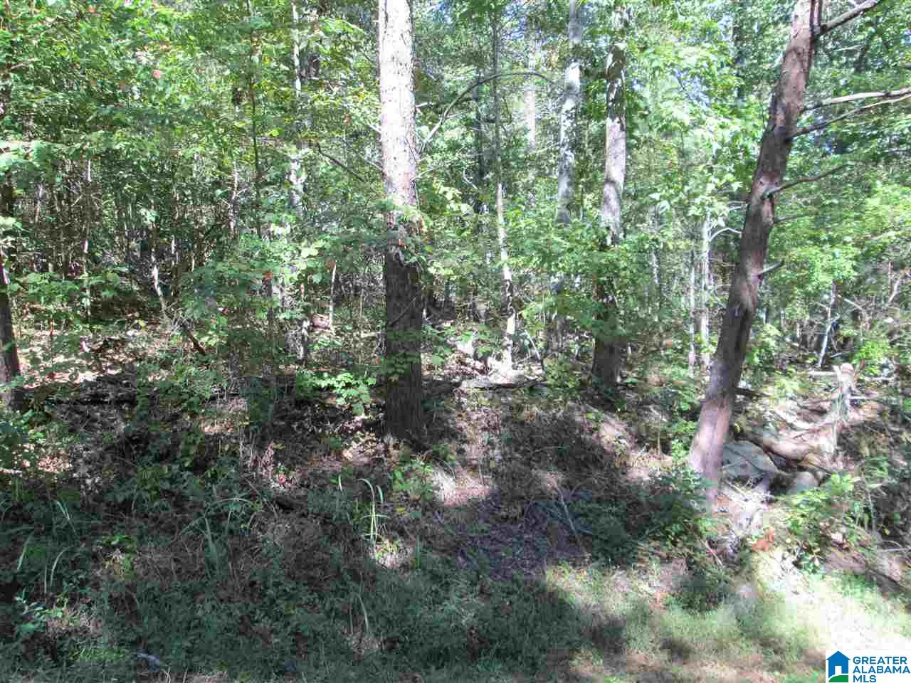 Homes for sale in Pinson, AL | Lot 161 Creekside Dr, Pinson, AL 35126 | MLS# 831407