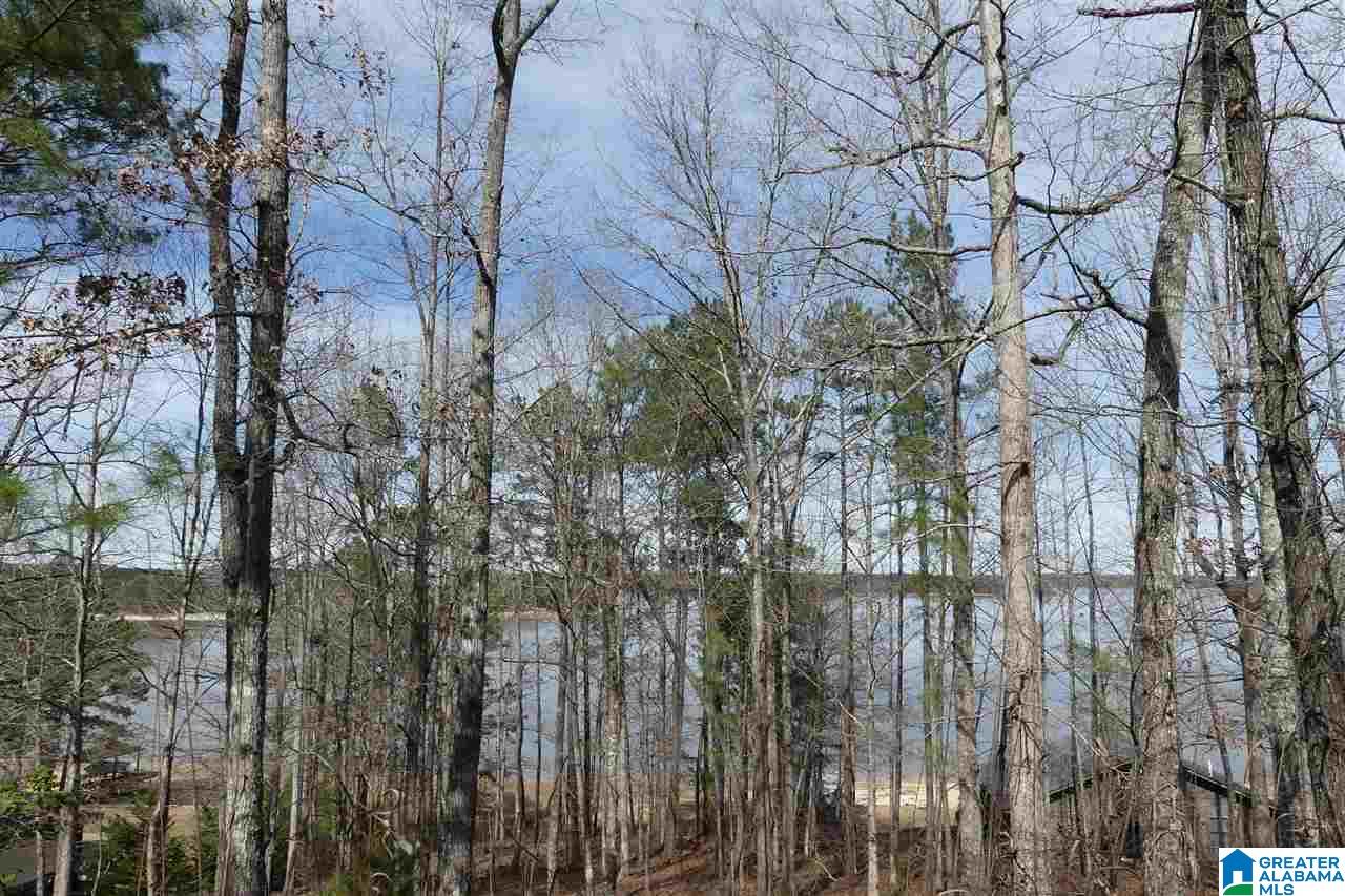 LOT 18 OVERLOOK DRIVE 18, WEDOWEE, AL 36278 ReMax Results