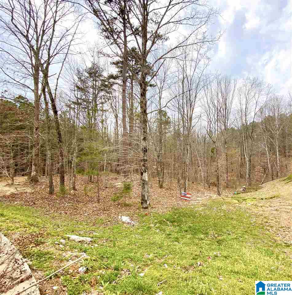 Homes for sale in Moody, AL | 0 Karah Dr, Moody, AL 35004 | MLS# 878003