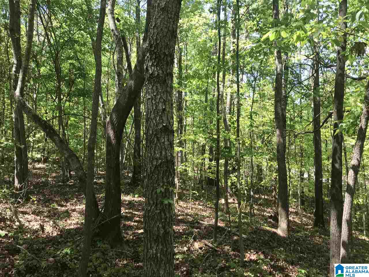 Homes for sale in Ashville, AL | 00 Shoal Crest Dr, Ashville, AL 35953 | MLS# 882635