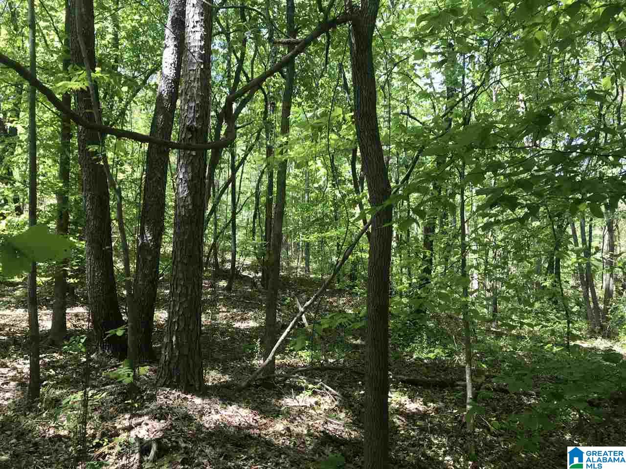 Homes for sale in Ashville, AL | 000 Shoal Crest Dr, Ashville, AL 35953 | MLS# 882644