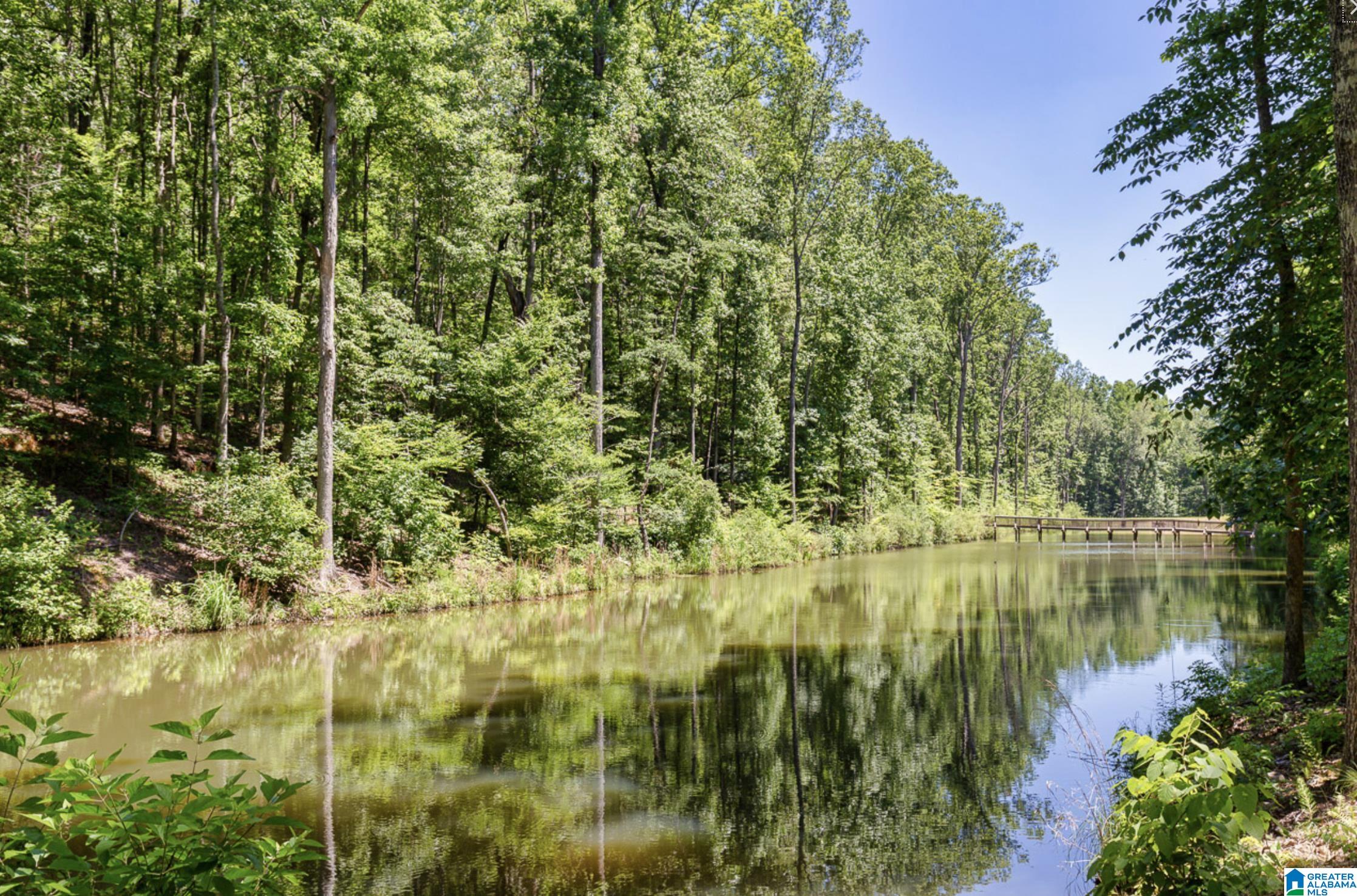 Homes for sale in Chelsea, AL | 2048 Lindsay Lane, Chelsea, AL 35043 | MLS# 891606