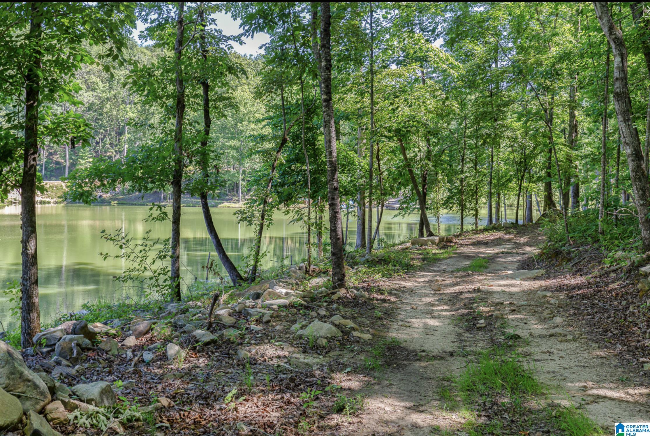 Homes for sale in Chelsea, AL | 3080 Oakridge Way, Chelsea, AL 35043 | MLS# 891608