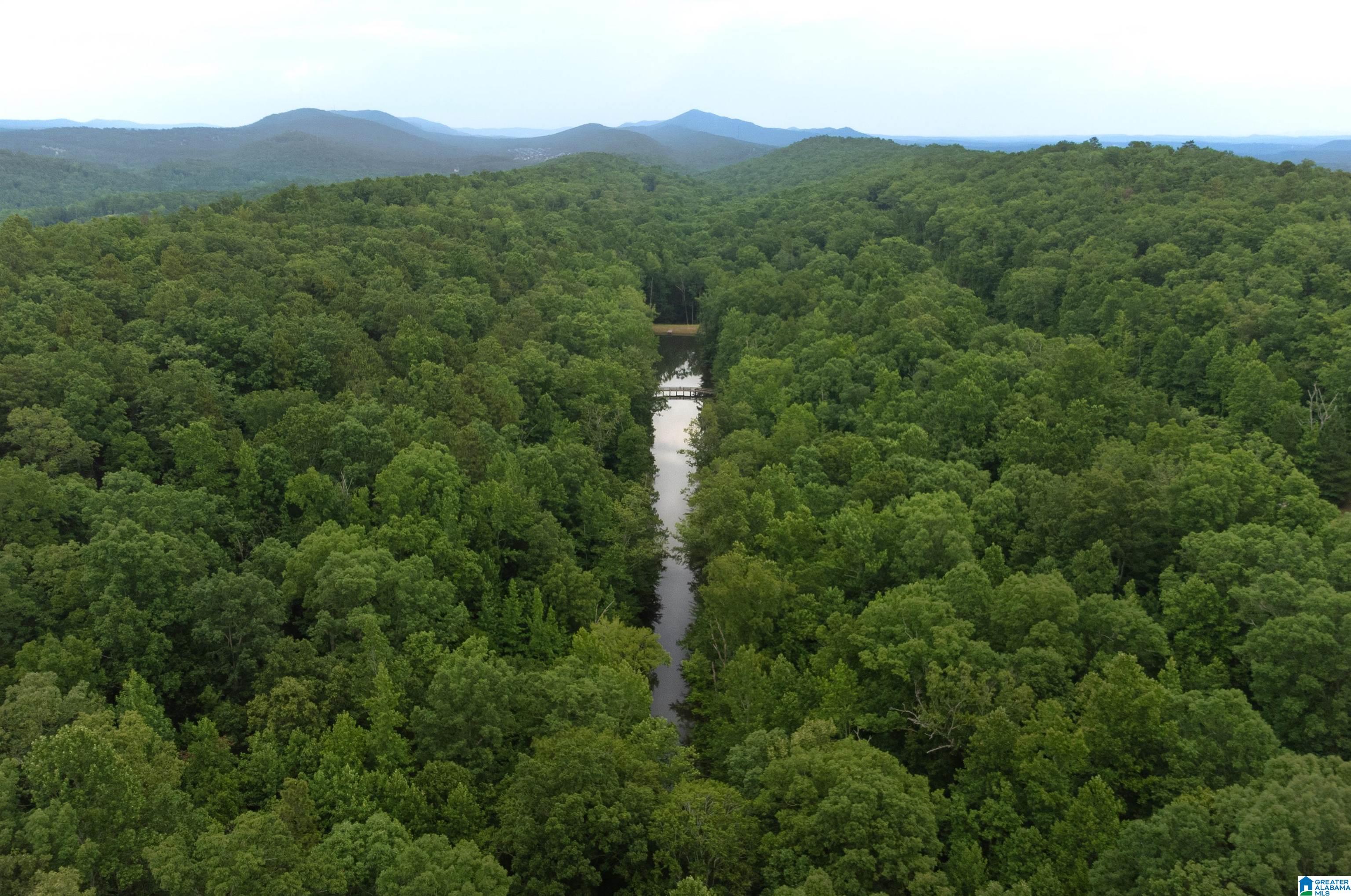 Homes for sale in Chelsea, AL | 3080 Oakridge Way, Chelsea, AL 35043 | MLS# 891608