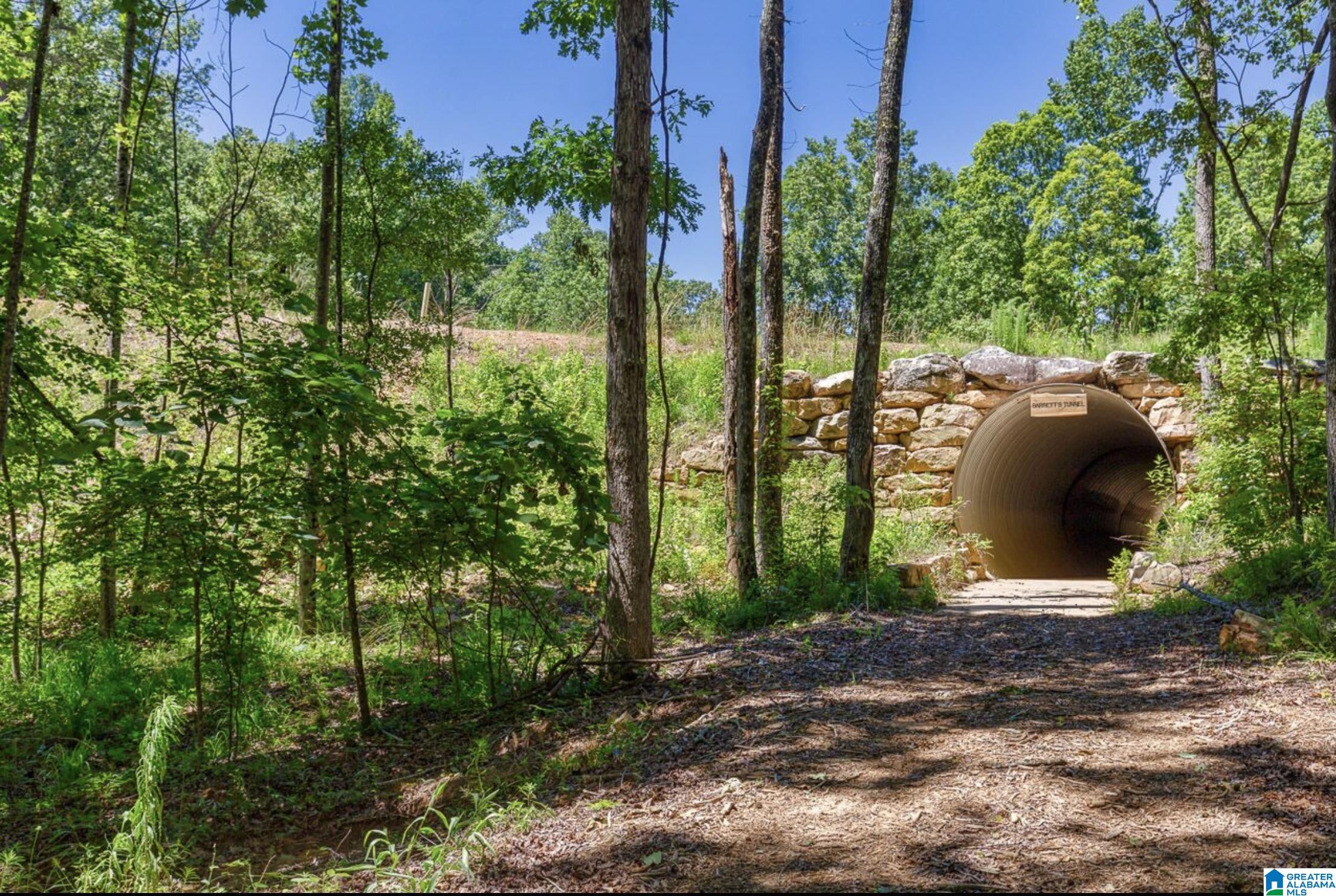 Homes for sale in Chelsea, AL | 3095 Oakridge Way, Chelsea, AL 35043 | MLS# 891625