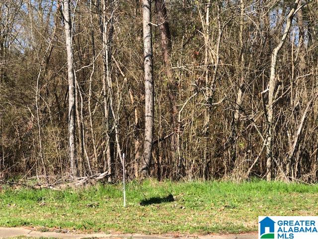 Homes for sale in Kimberly, AL | 8016 Warrior Kimberly Road, Kimberly, AL 35091 | MLS# 897305