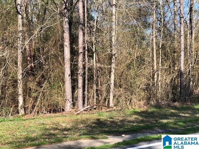 Homes for sale in Kimberly, AL | 8016 Warrior Kimberly Road, Kimberly, AL 35091 | MLS# 897305