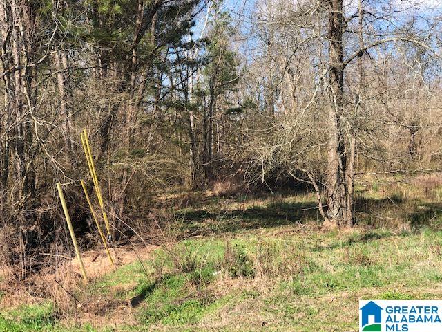 Homes for sale in Kimberly, AL | 8016 Warrior Kimberly Road, Kimberly, AL 35091 | MLS# 897305