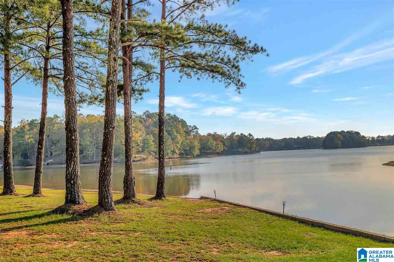 Lake Logan Martin Homes for Sale