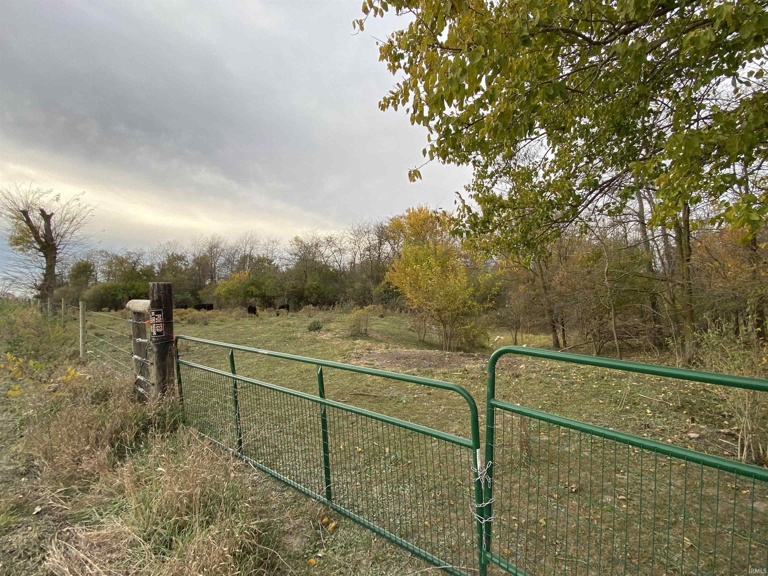 Over 10 acres of Fenced in Woods & Pasture