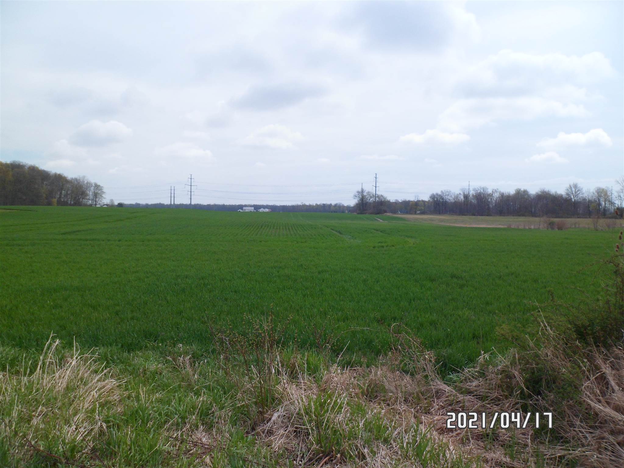Photo 1 of County Road 29
