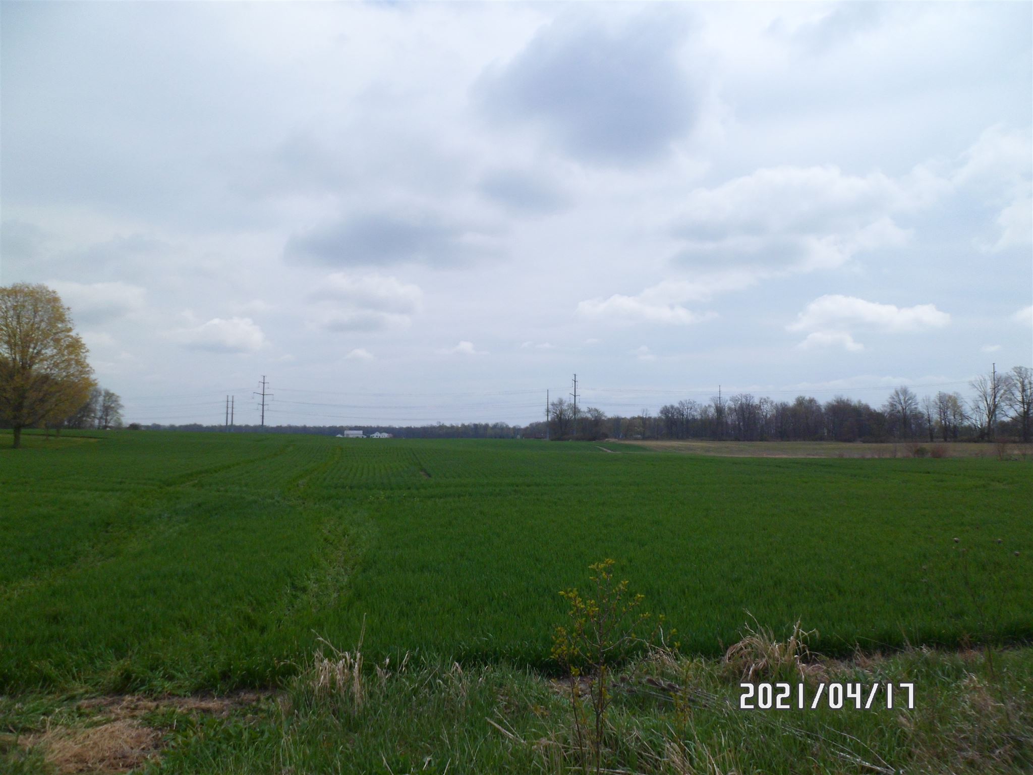 Photo 4 of County Road 29