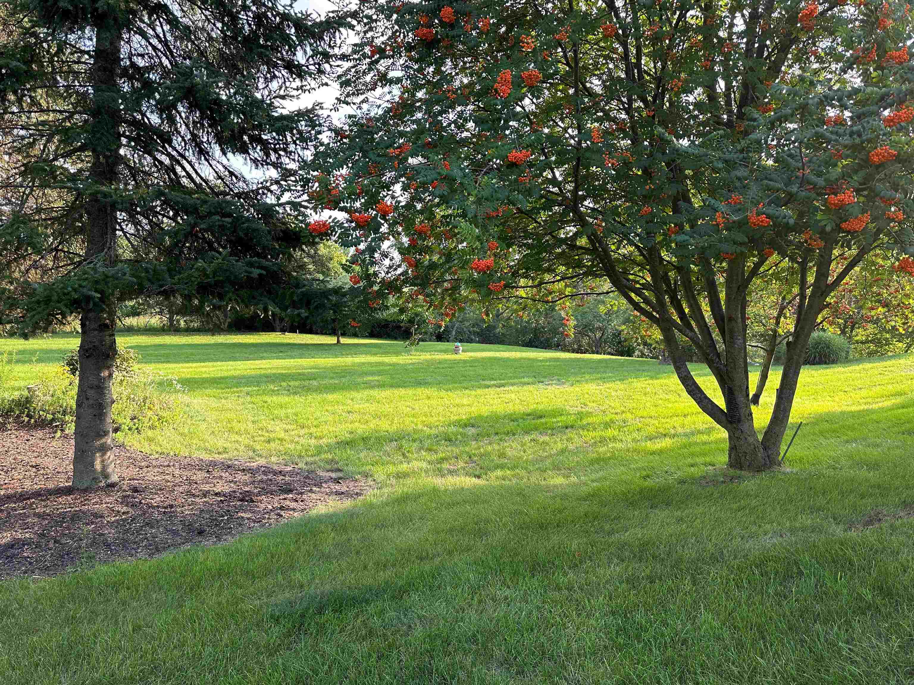 Photo 4 of lot 26 LN 240 B  Big Otter Lake