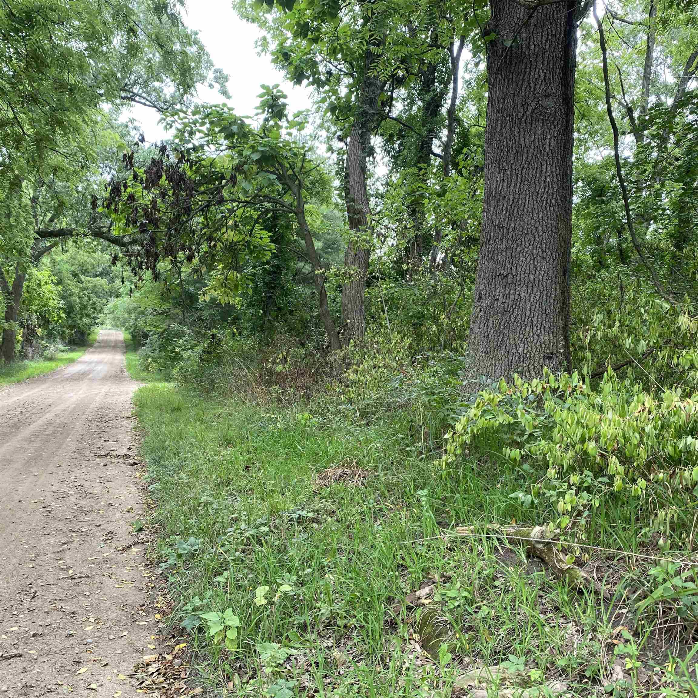 E 825 N (State Line Road), Howe, IN 46746