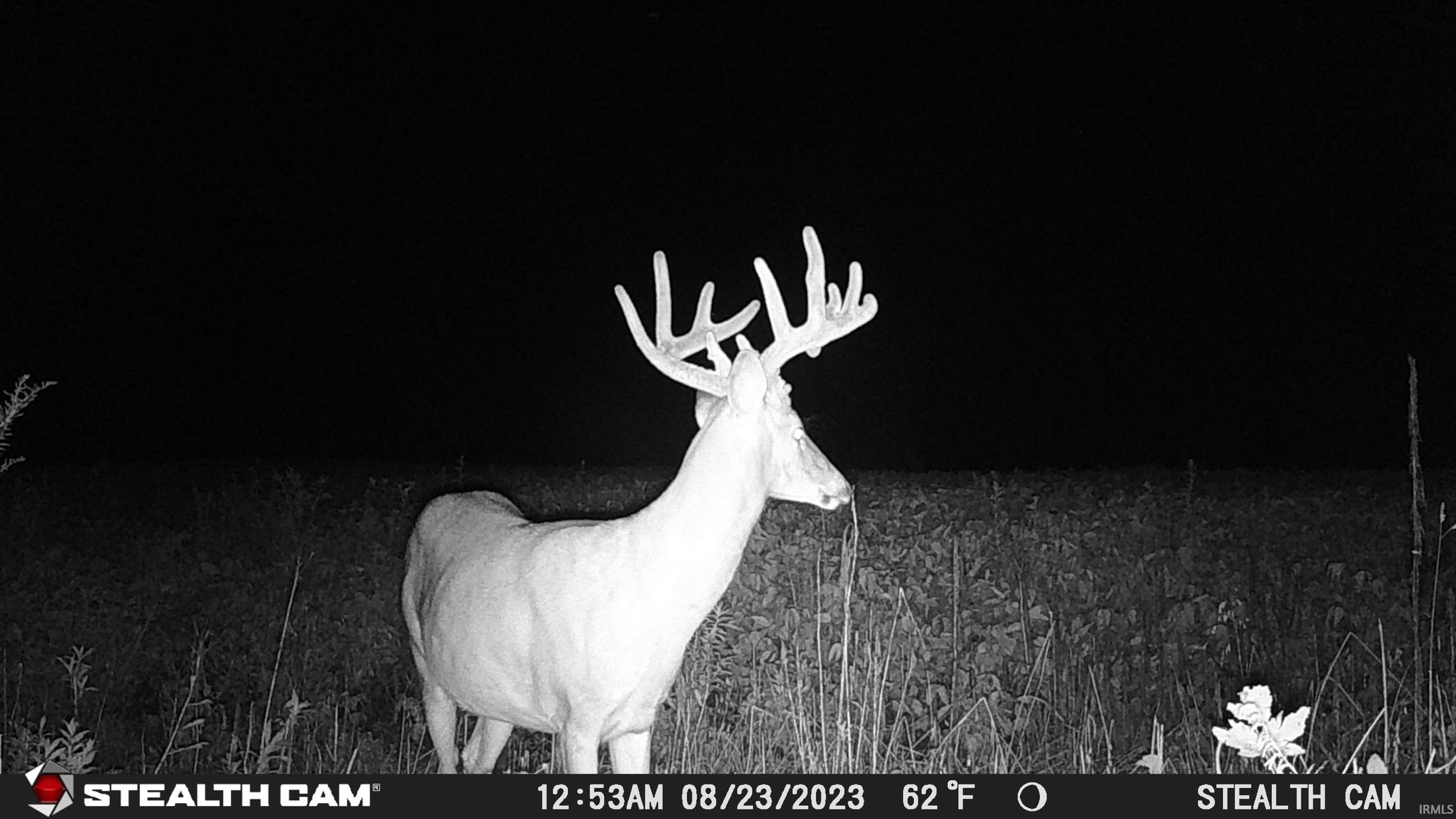 Photo 7 of TBD N 900 W