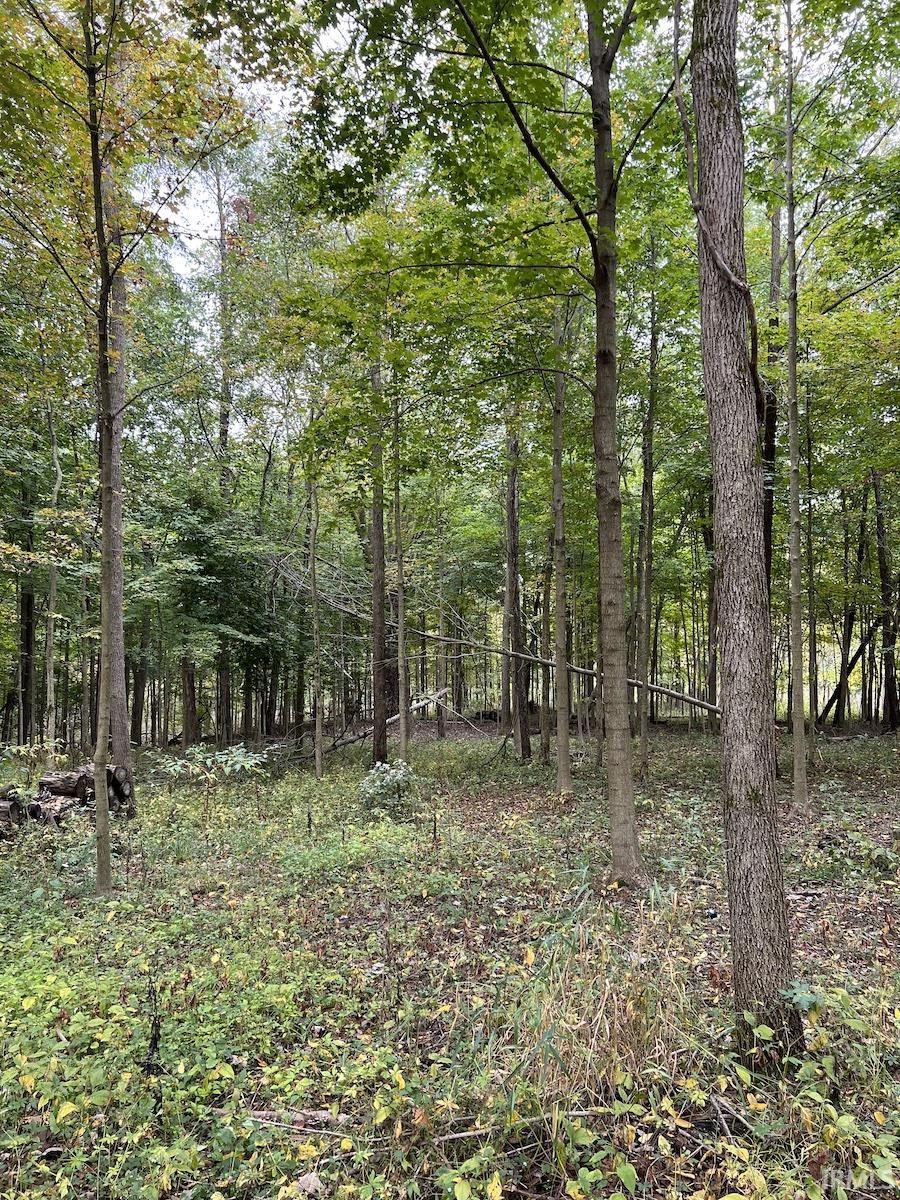 Photo 1 of 4645 West County Line Road S