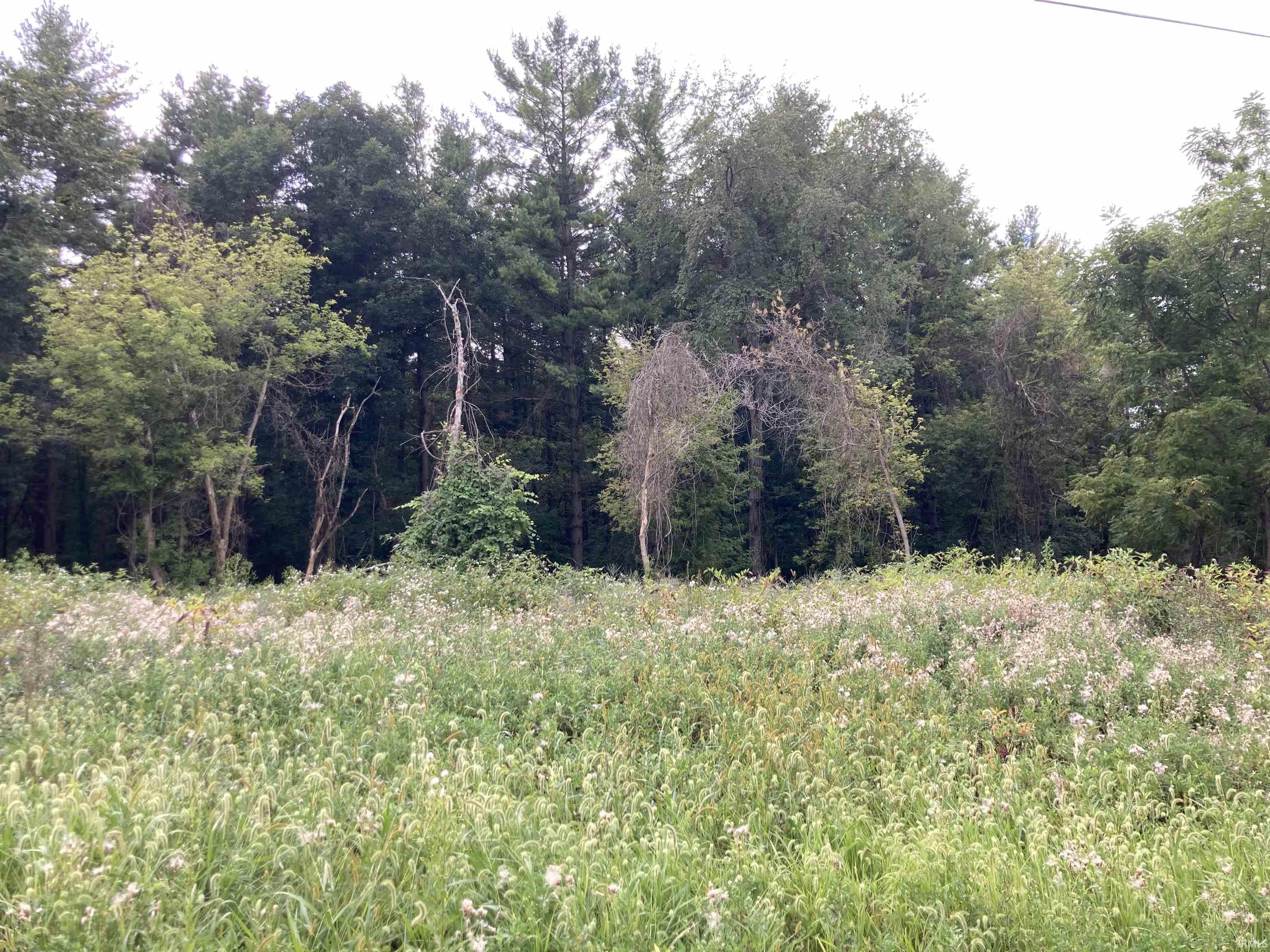 Photo 7 of 1664 SE SR 116