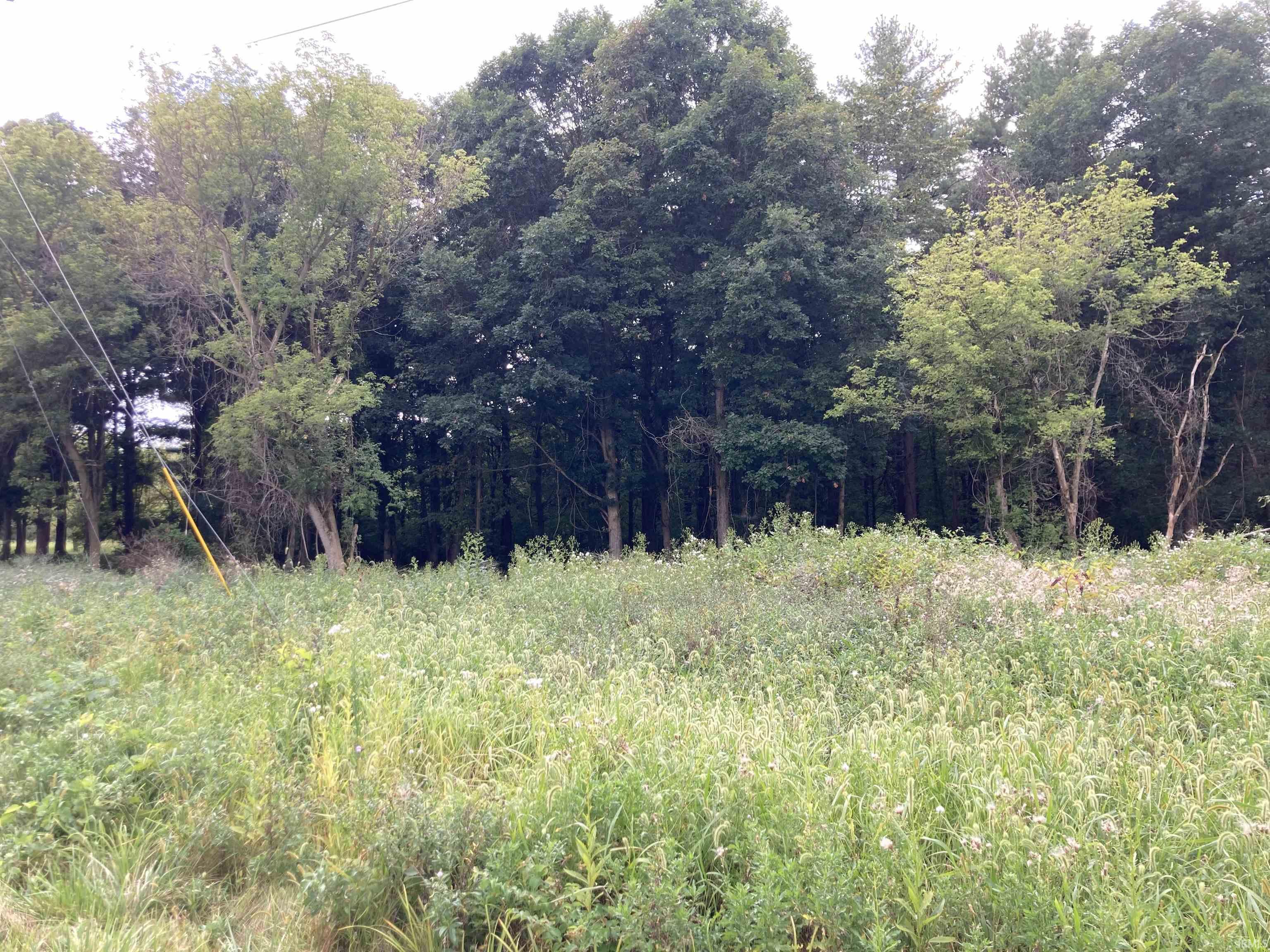 Photo 8 of 1664 SE SR 116
