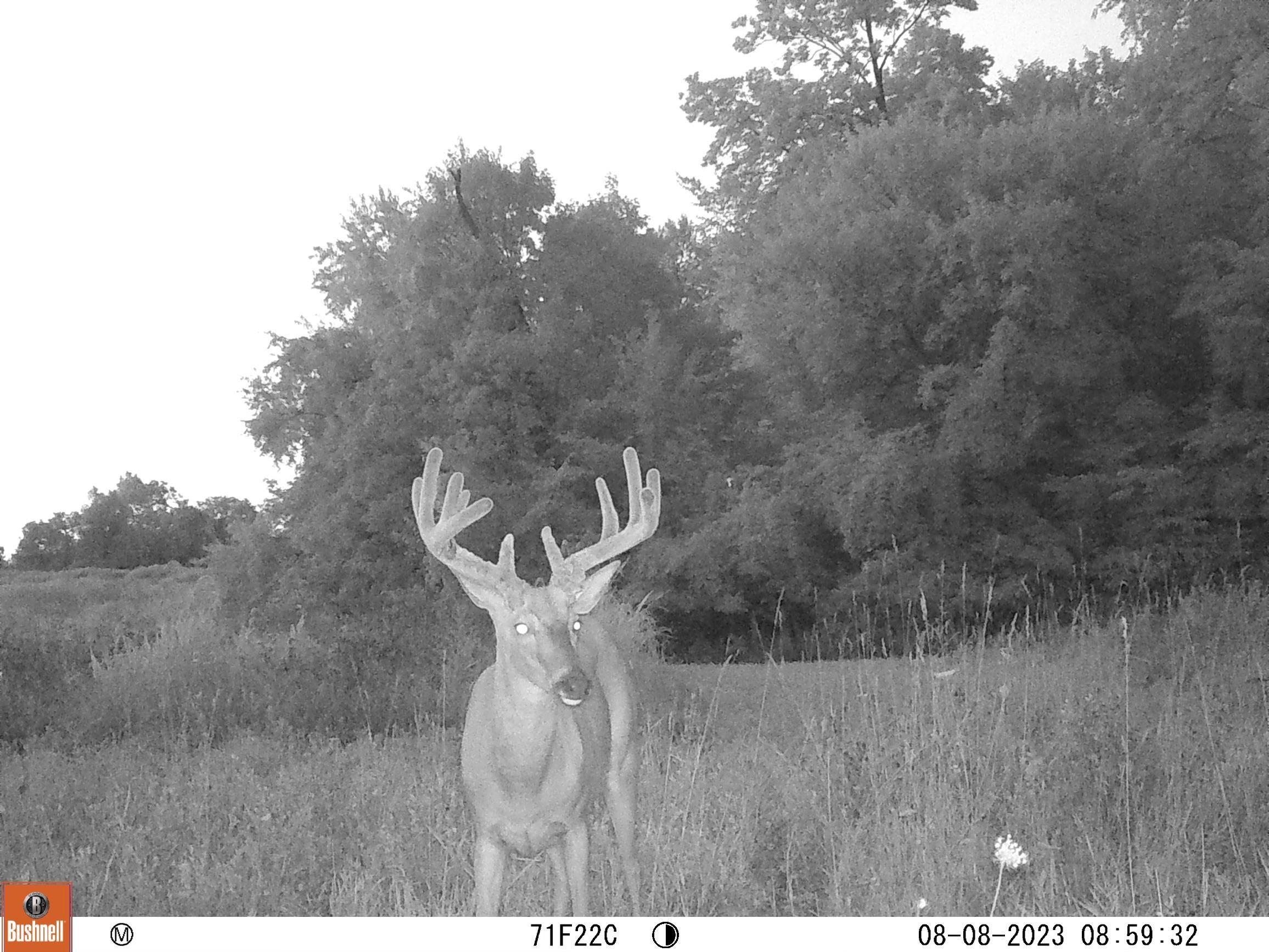 Photo 3 of SR 105