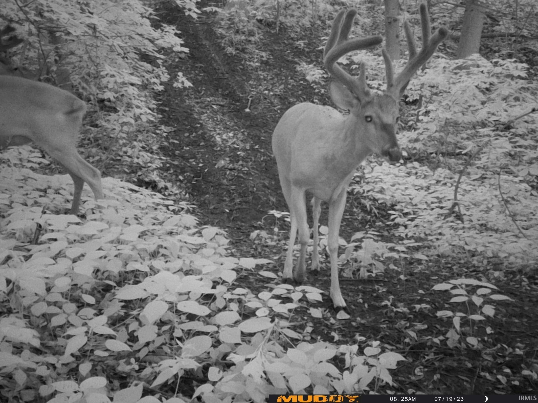Photo 6 of SR 105