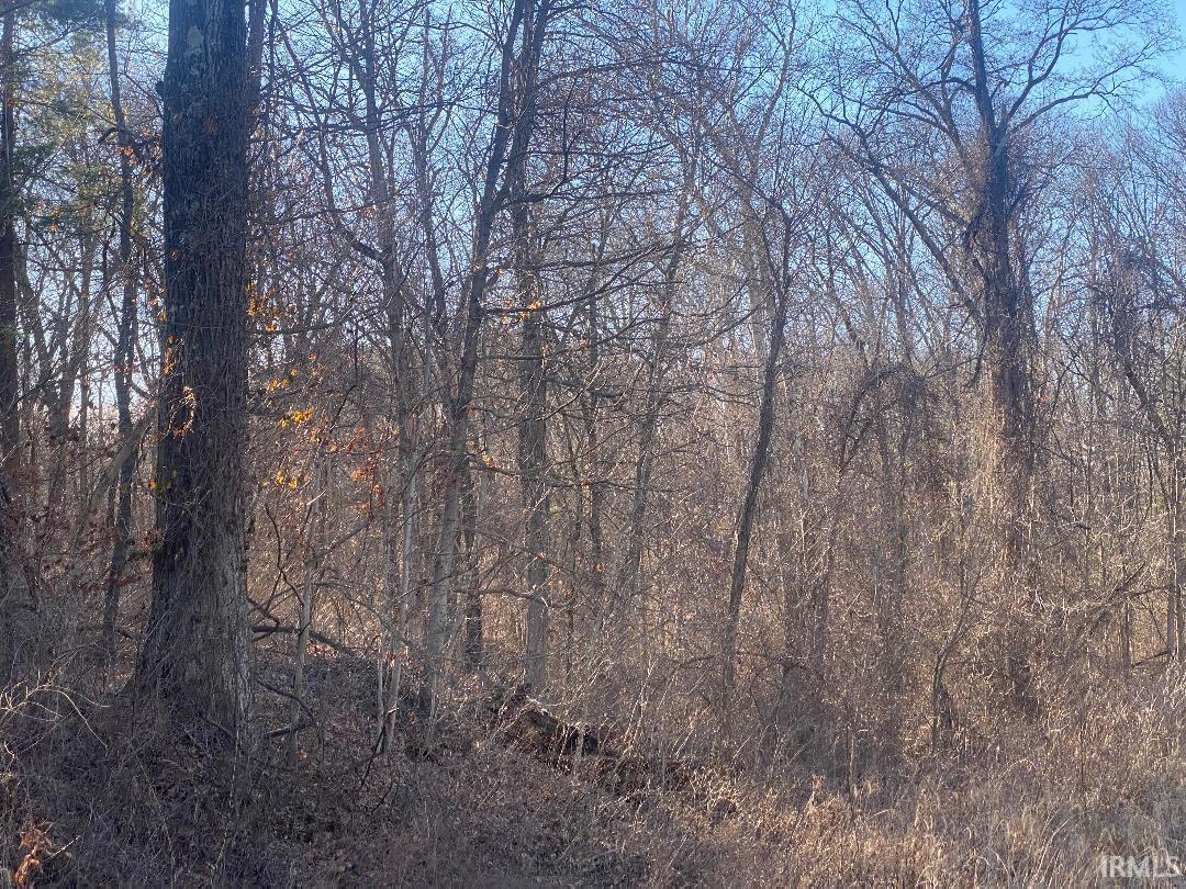 Homes for sale in Jasonville, IN | W St Rd 48 Hwy, Jasonville, IN 47438 | MLS# 202403939