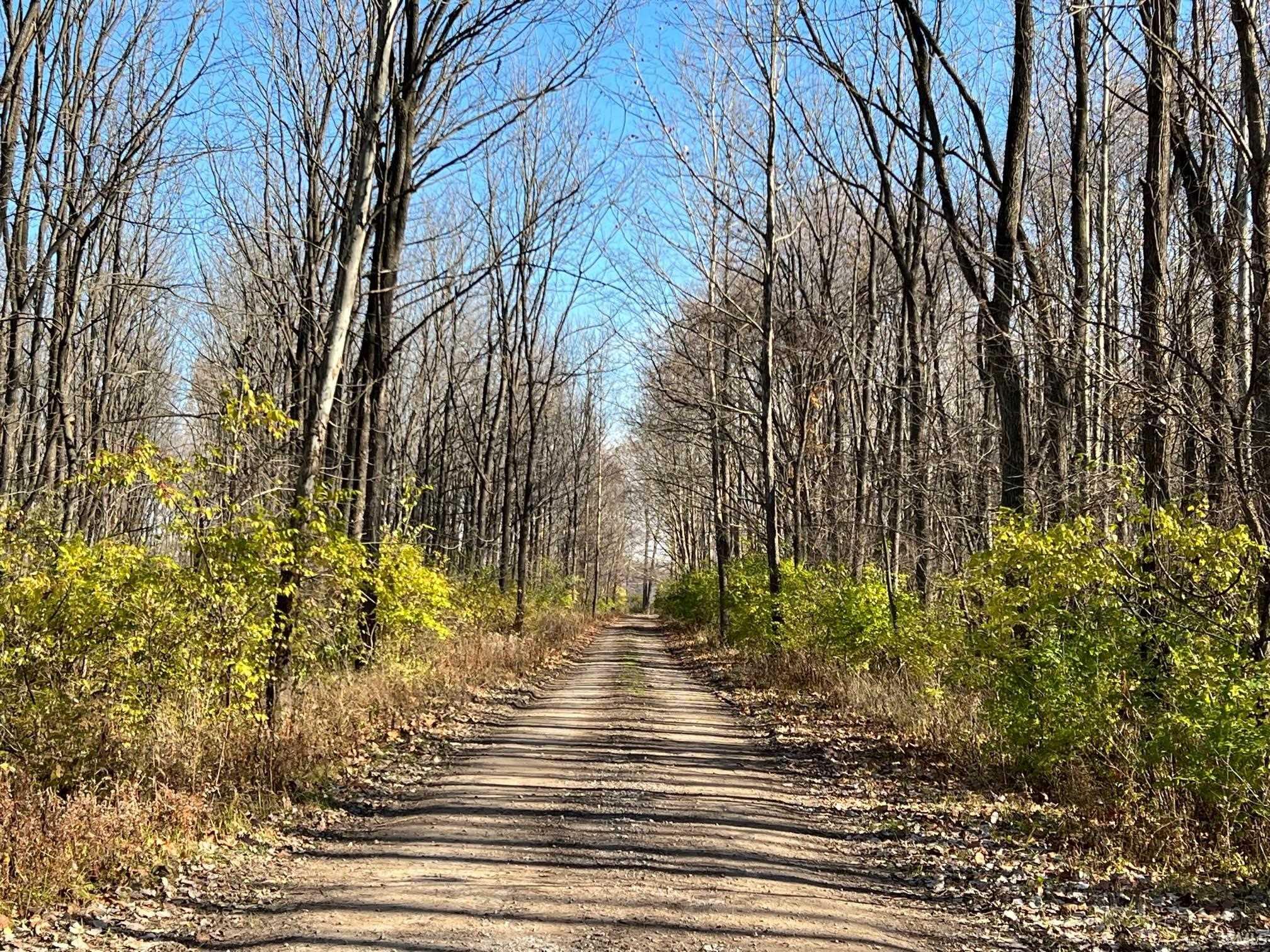 Photo 21 of 4314 Osiris Lane