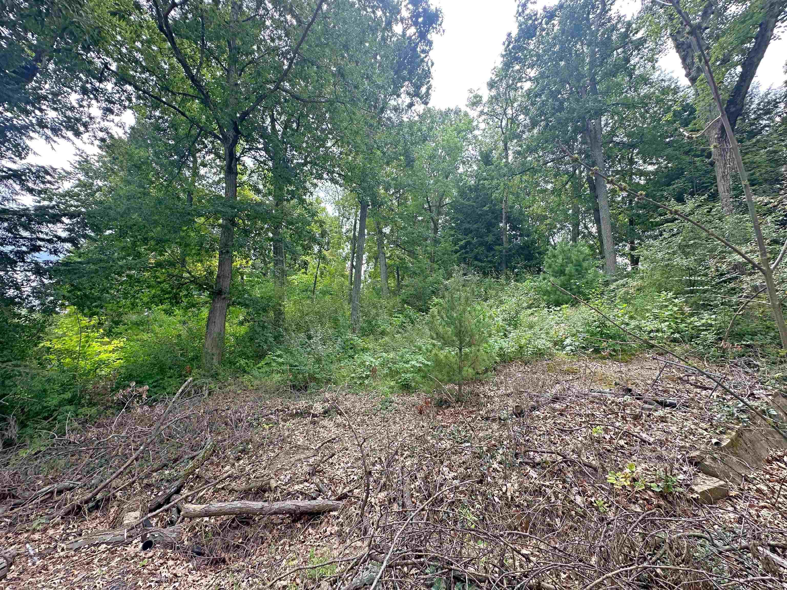 Photo 10 of 9246 E Koher Road