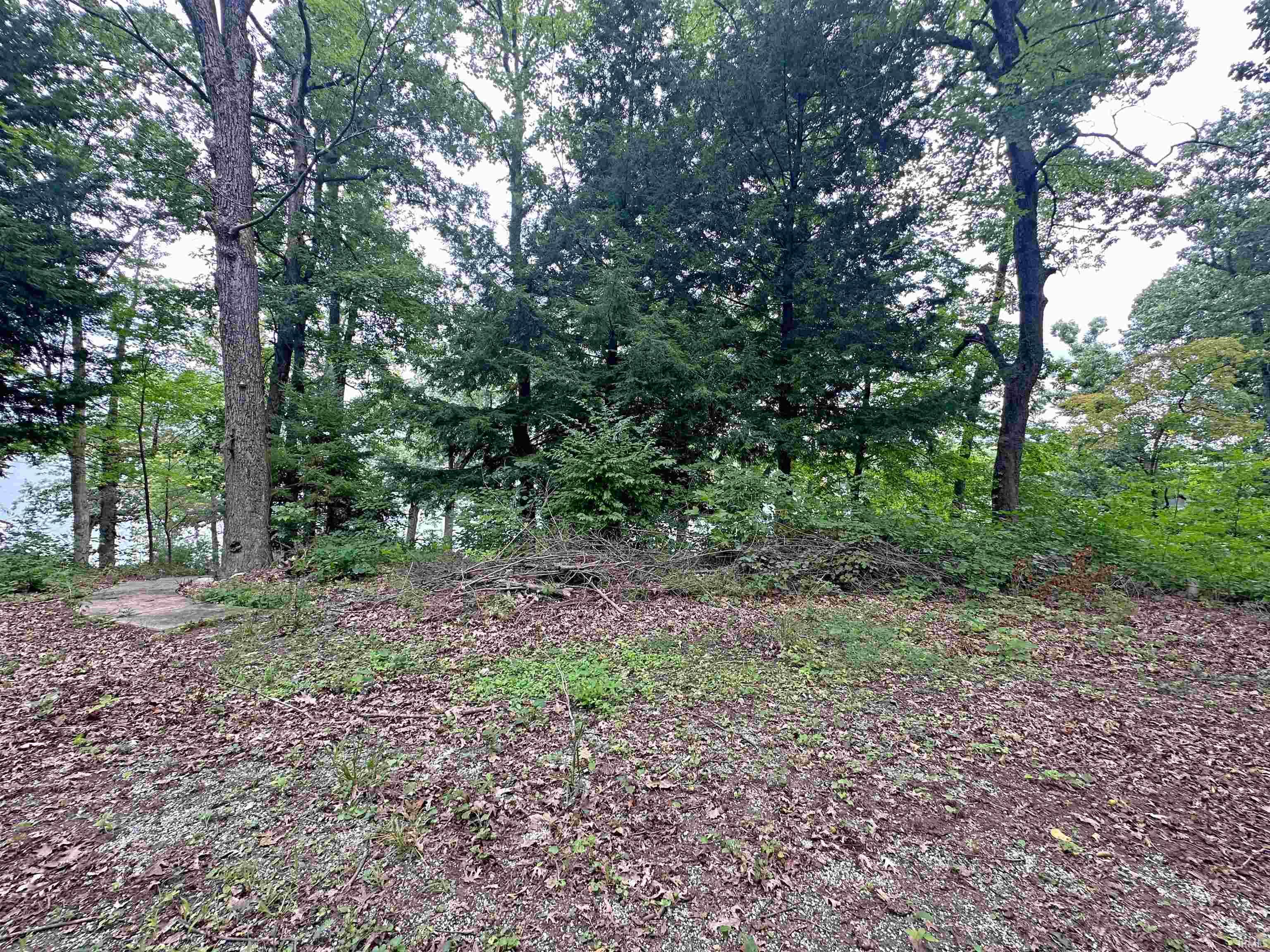 Photo 11 of 9246 E Koher Road