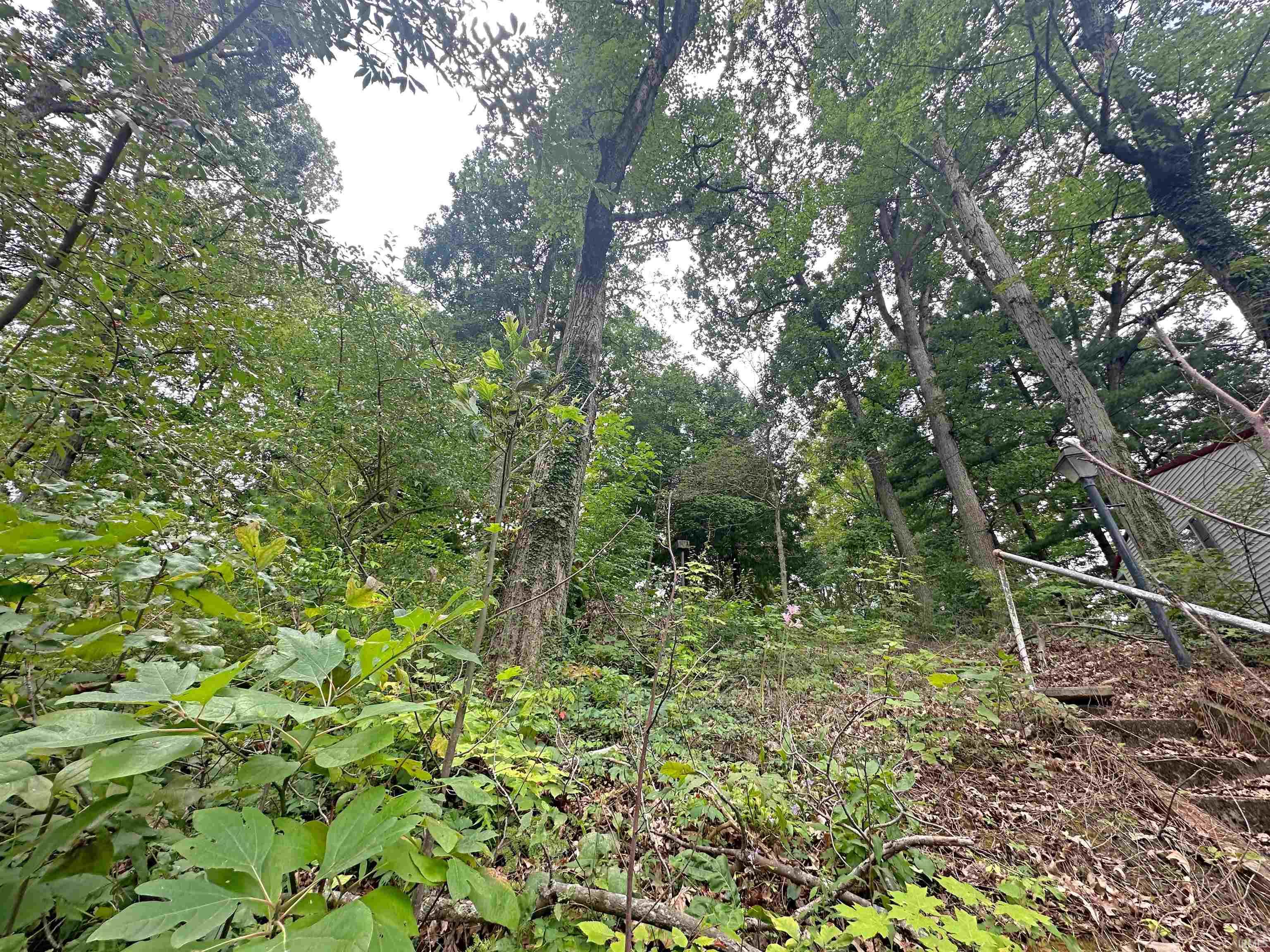 Photo 8 of 9246 E Koher Road