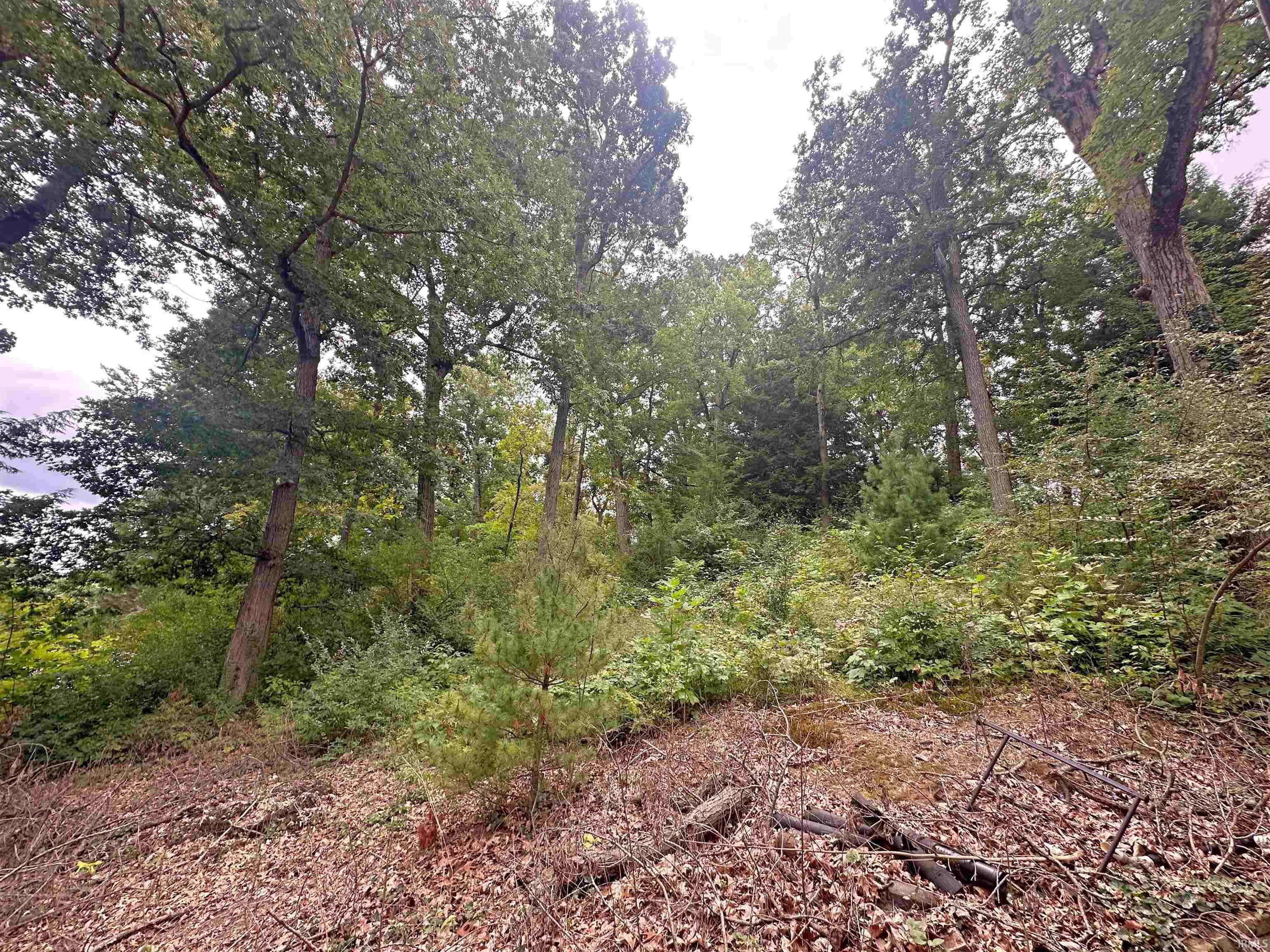 Photo 9 of 9246 E Koher Road