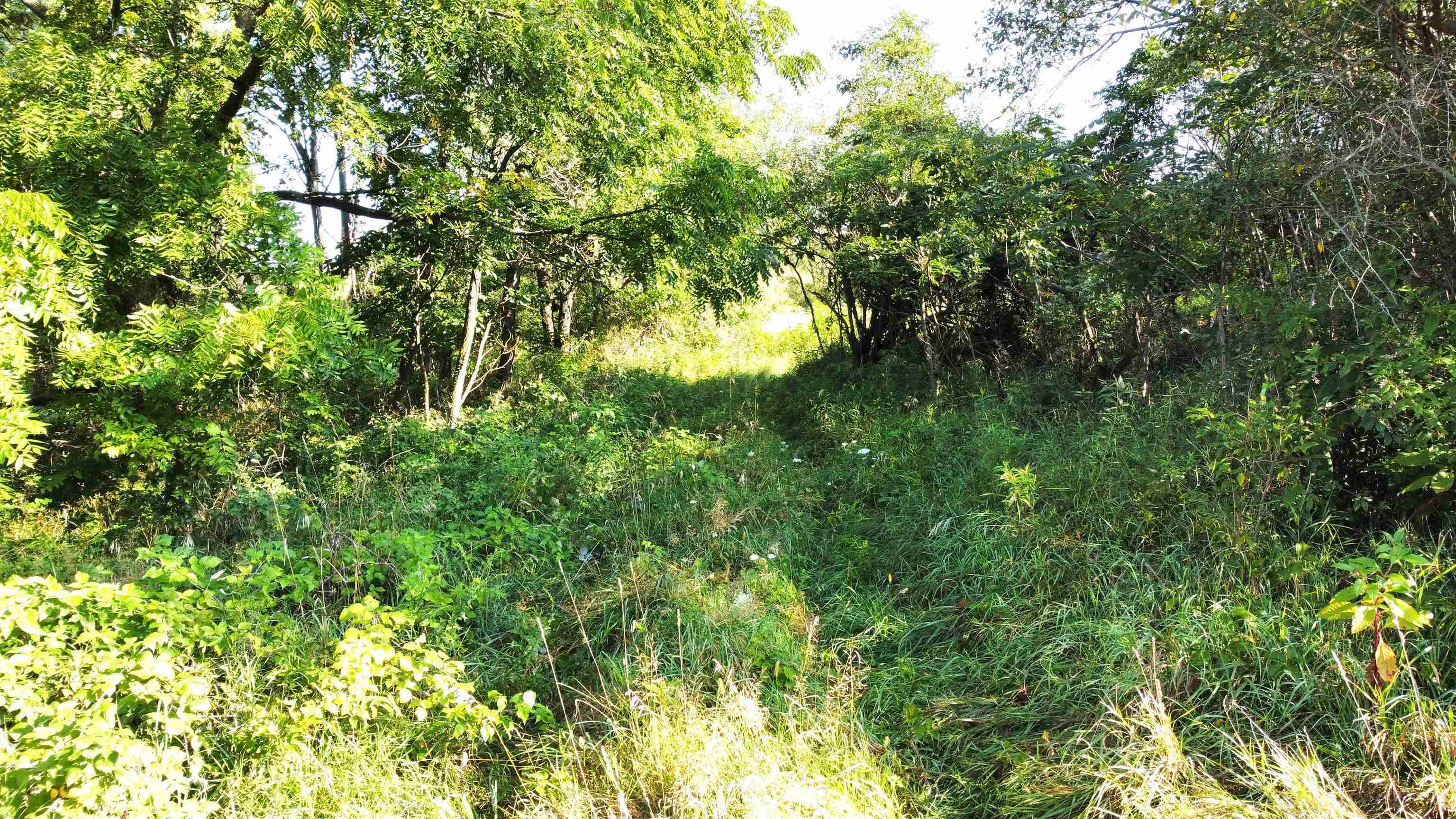 Photo 12 of TBD W State Road 120