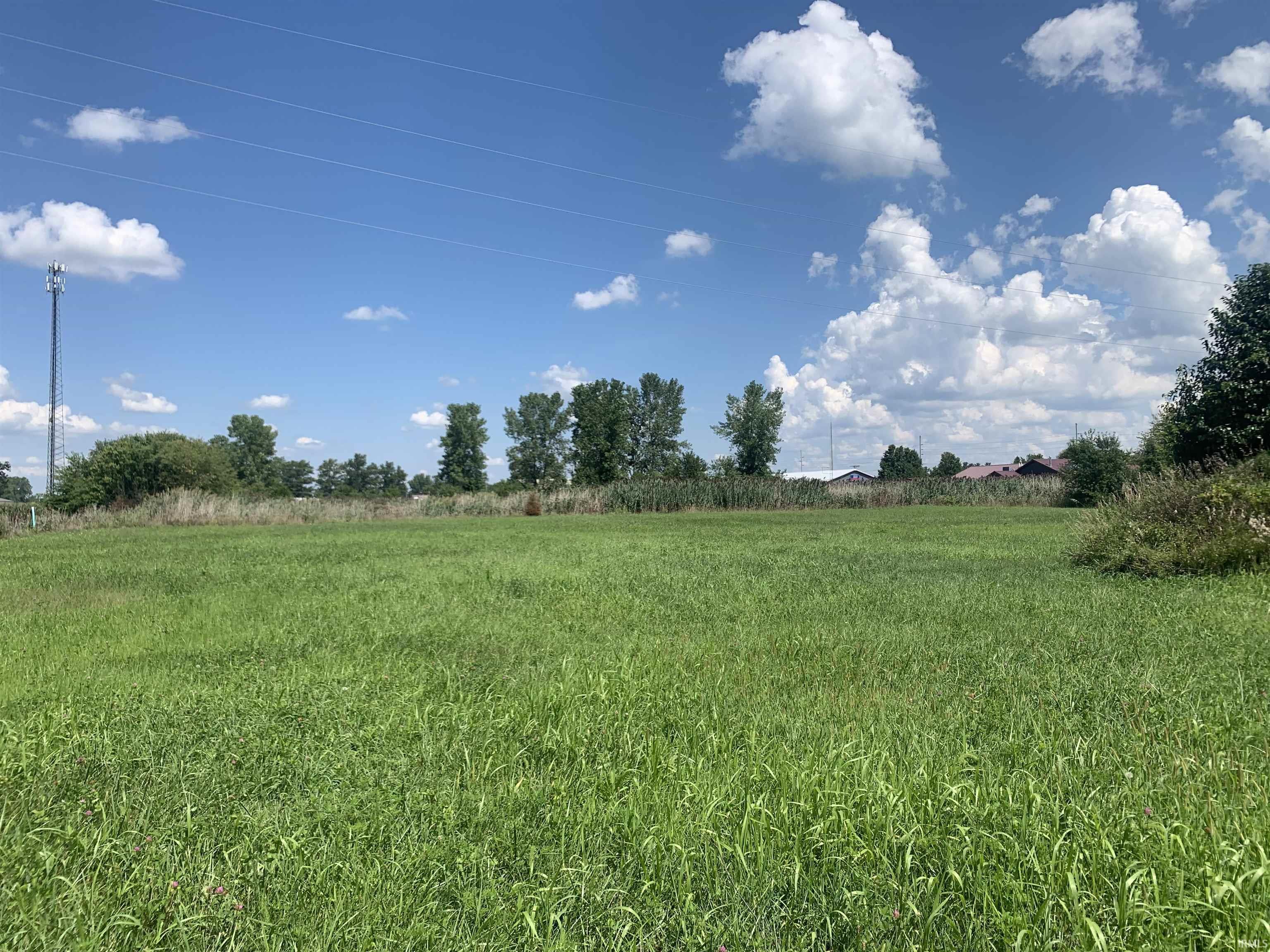 Homes for sale in Monticello, IN | 2 W Fisher Street Ext, Monticello, IN 47960 | MLS# 202434071