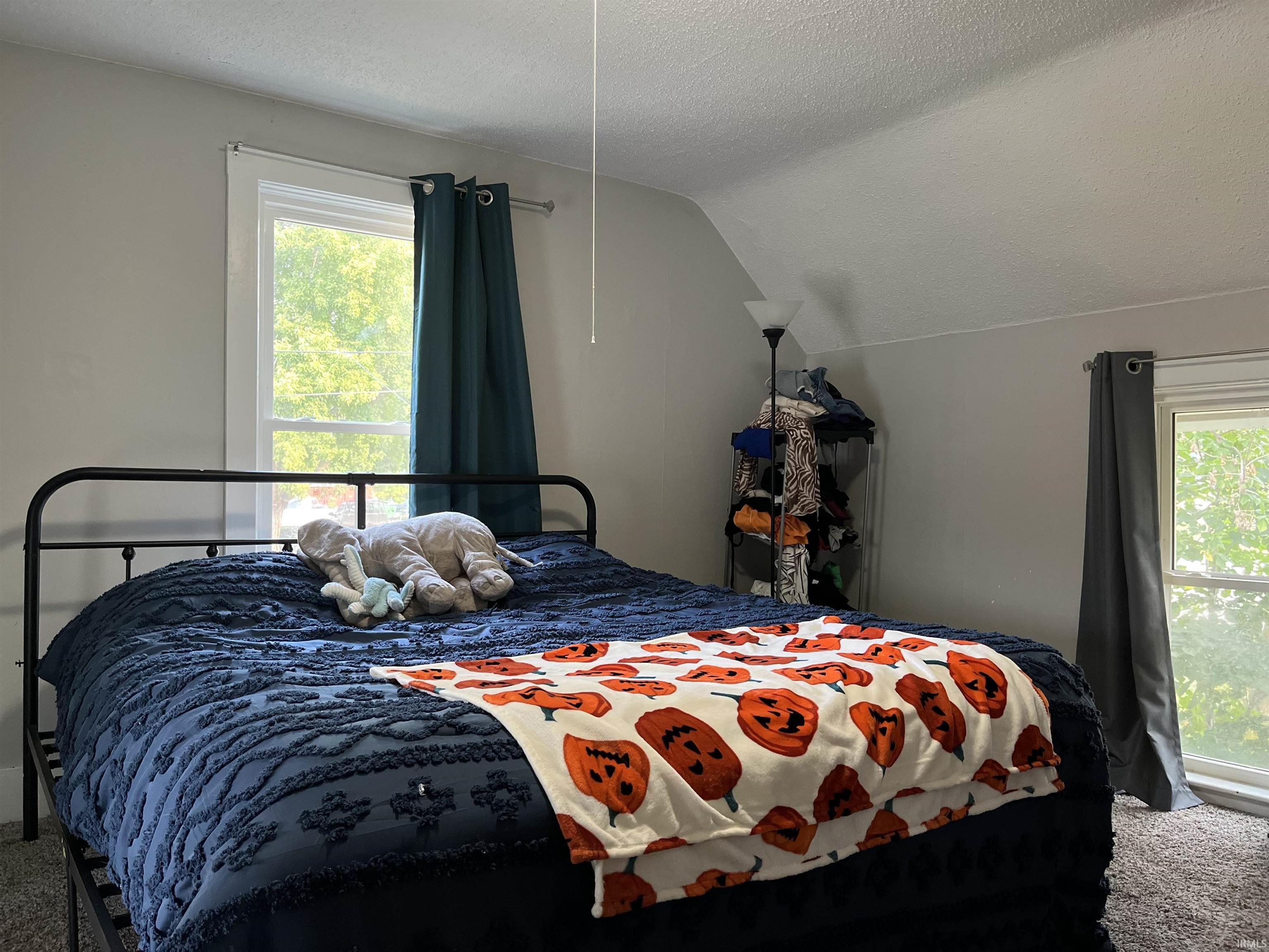 Photo 12 of 917 W Tipton Street