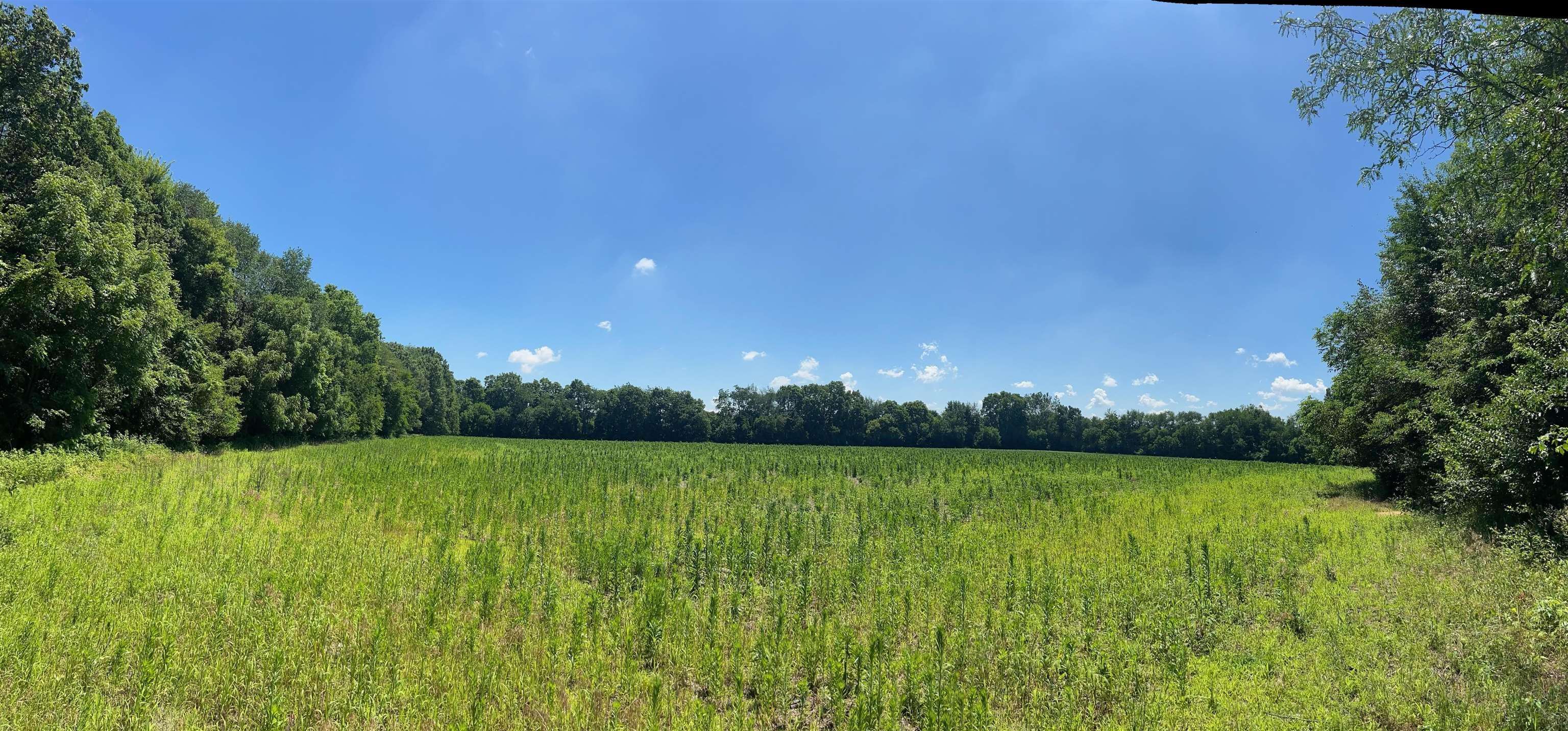 Photo 0 of Cr 115 Road