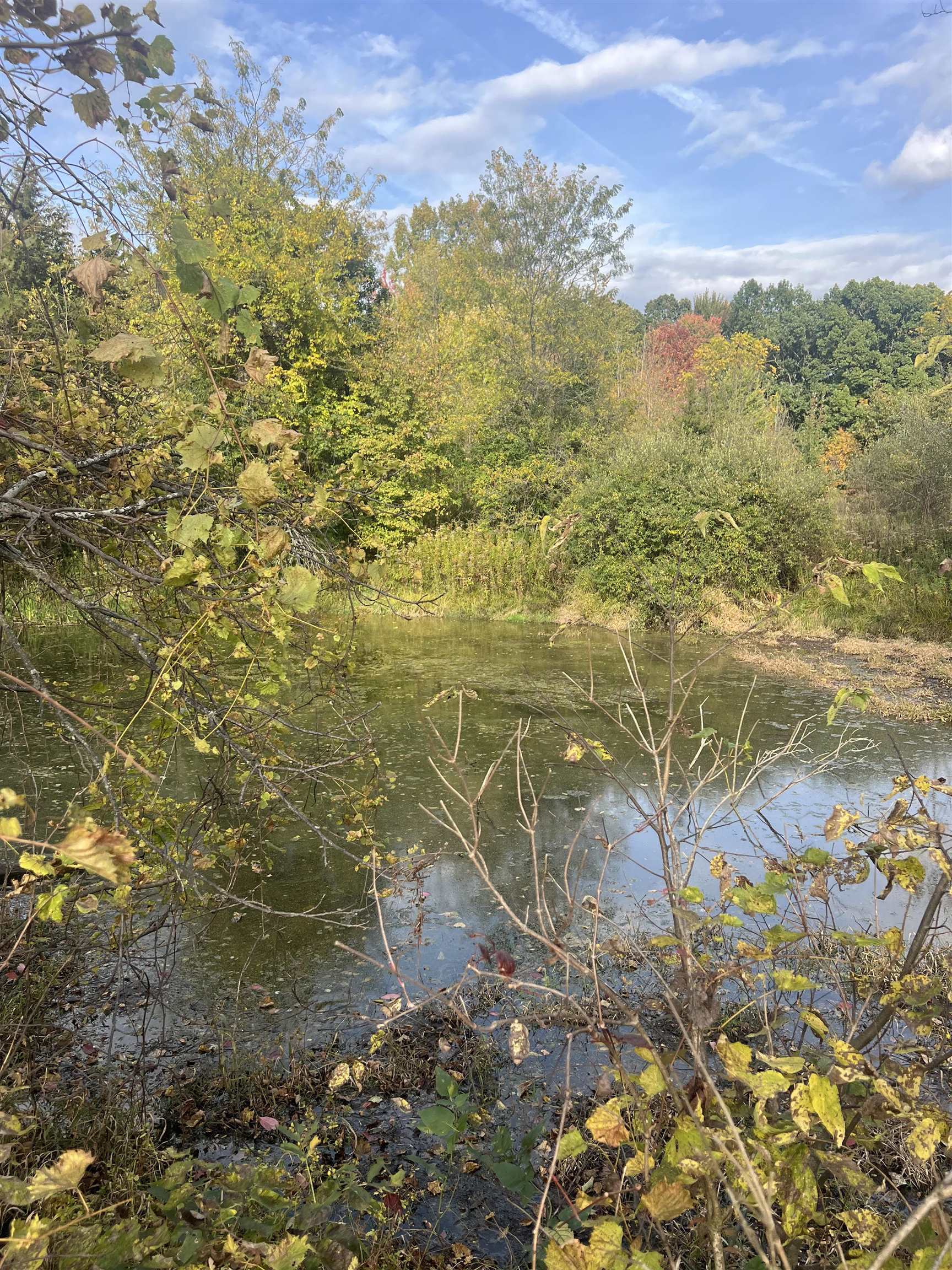Photo 3 of Cr 115 Road